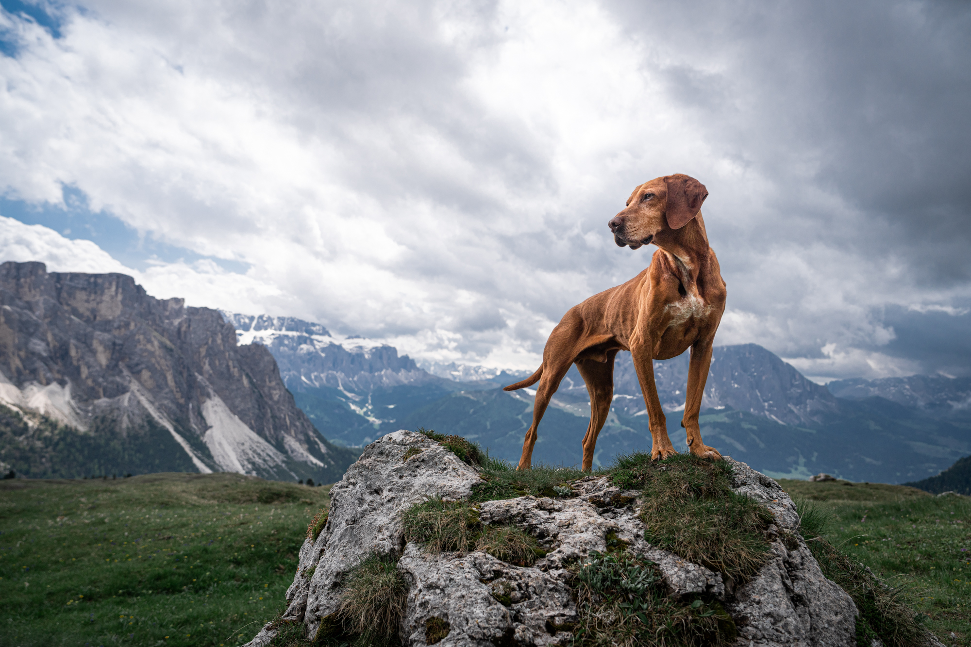 , Krisztián Csalami
