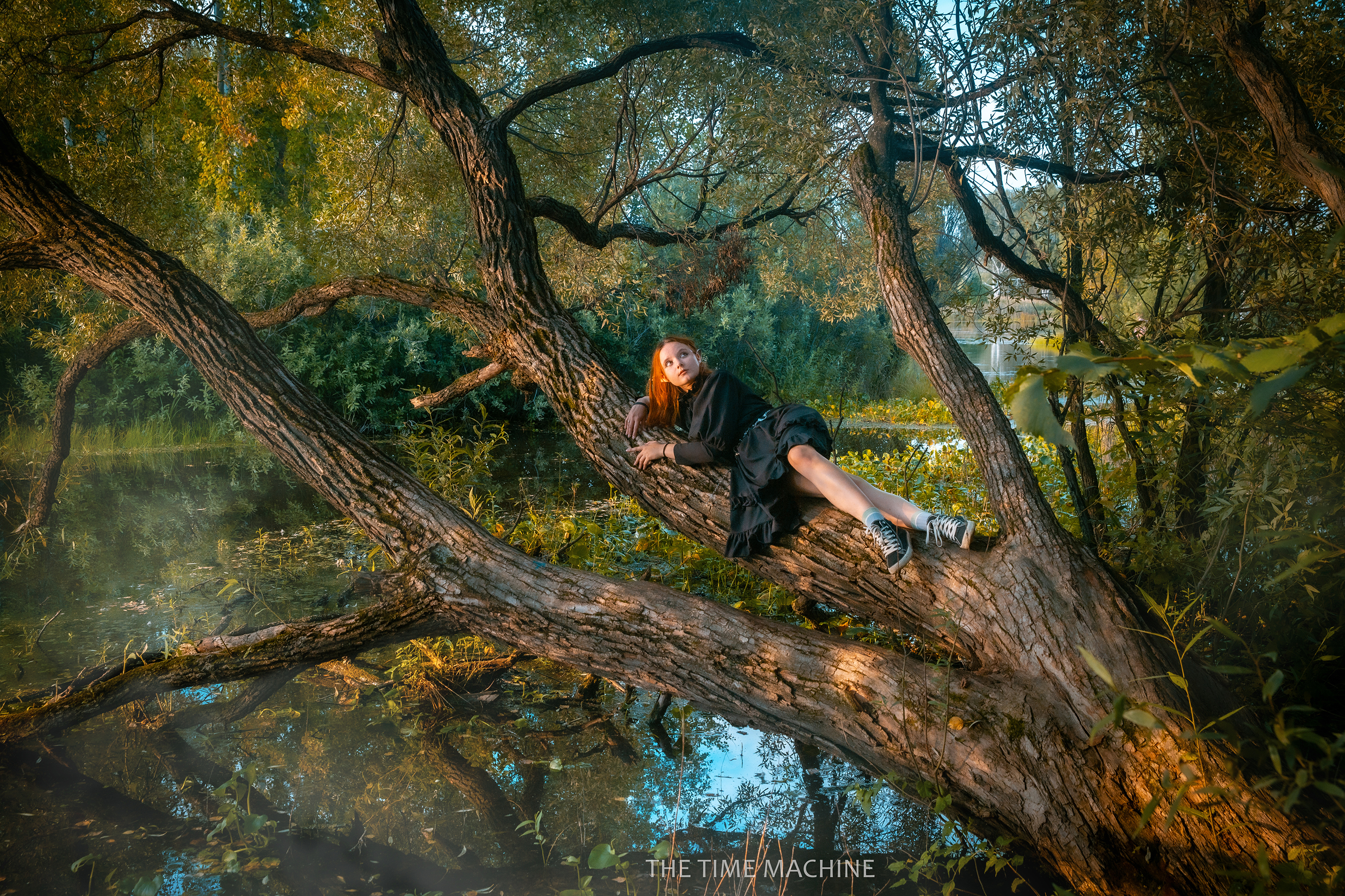 , Михаил Бове