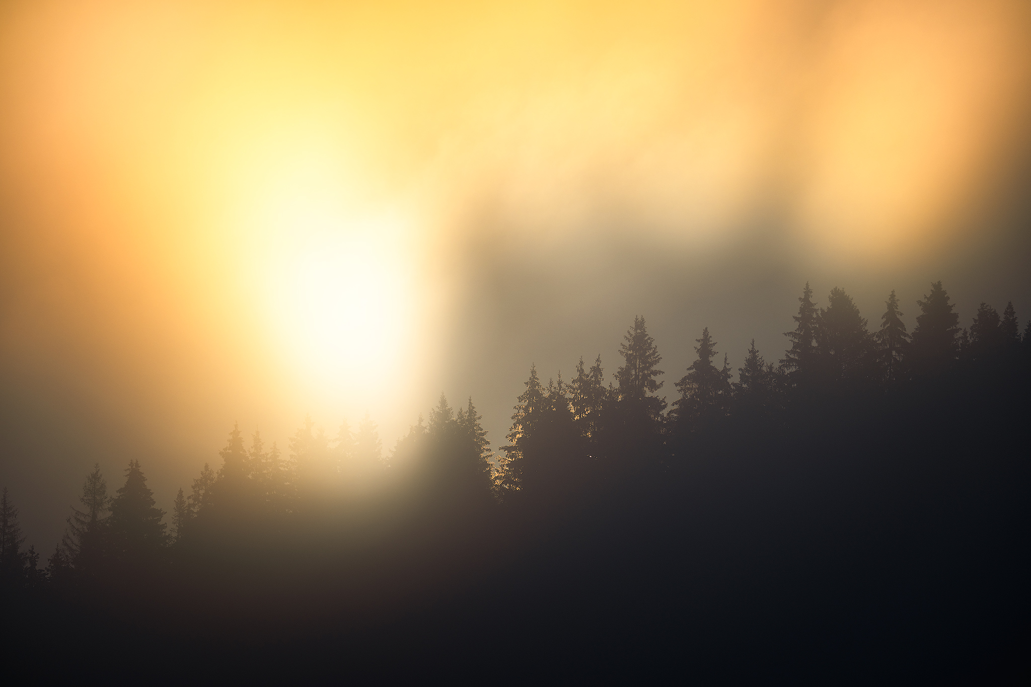 , Кузнецов Кирилл