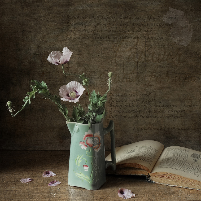 мак, цветы, лето, кувшинчик, Елена Колеснева