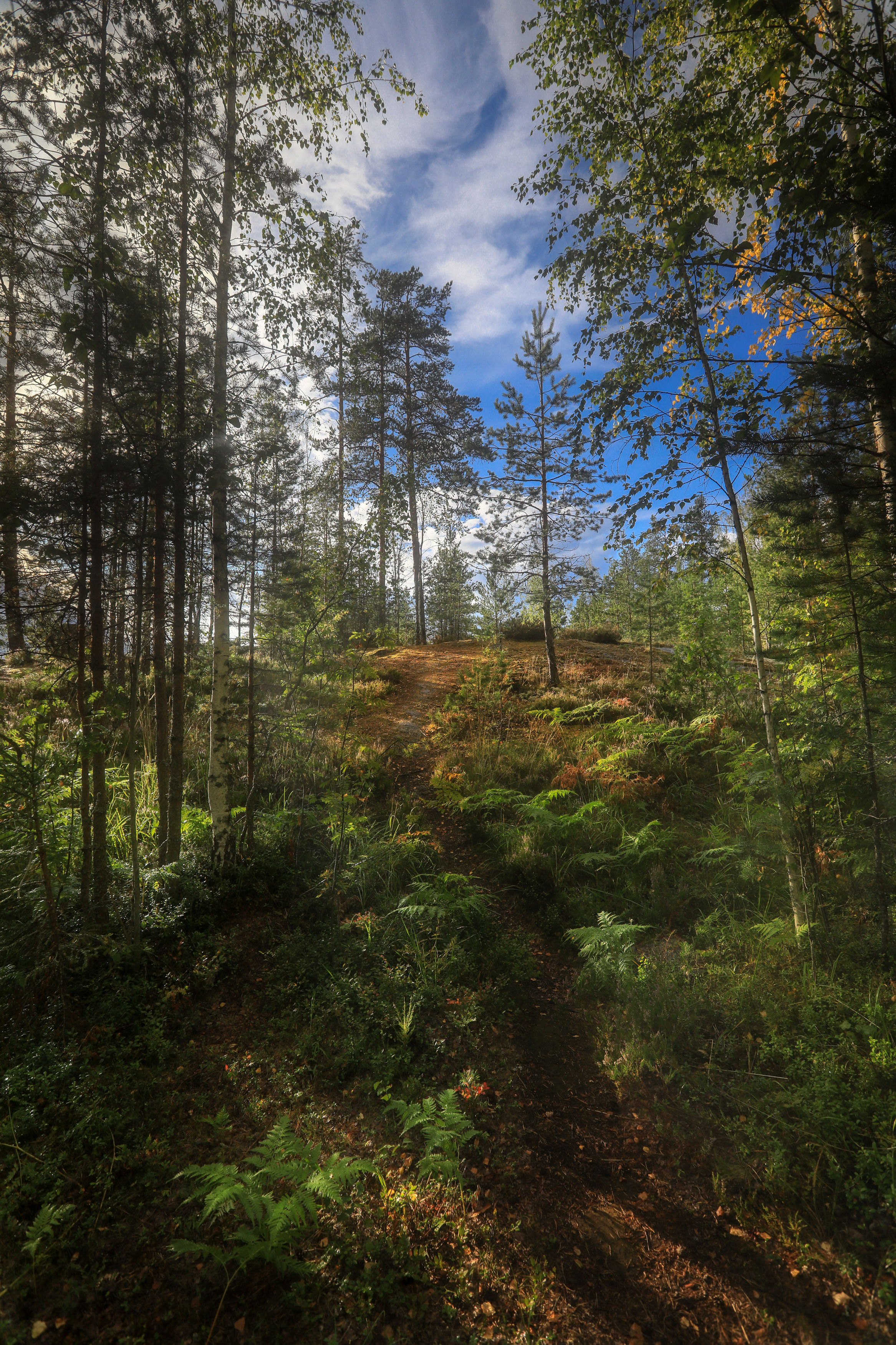 , Андрей Ершов