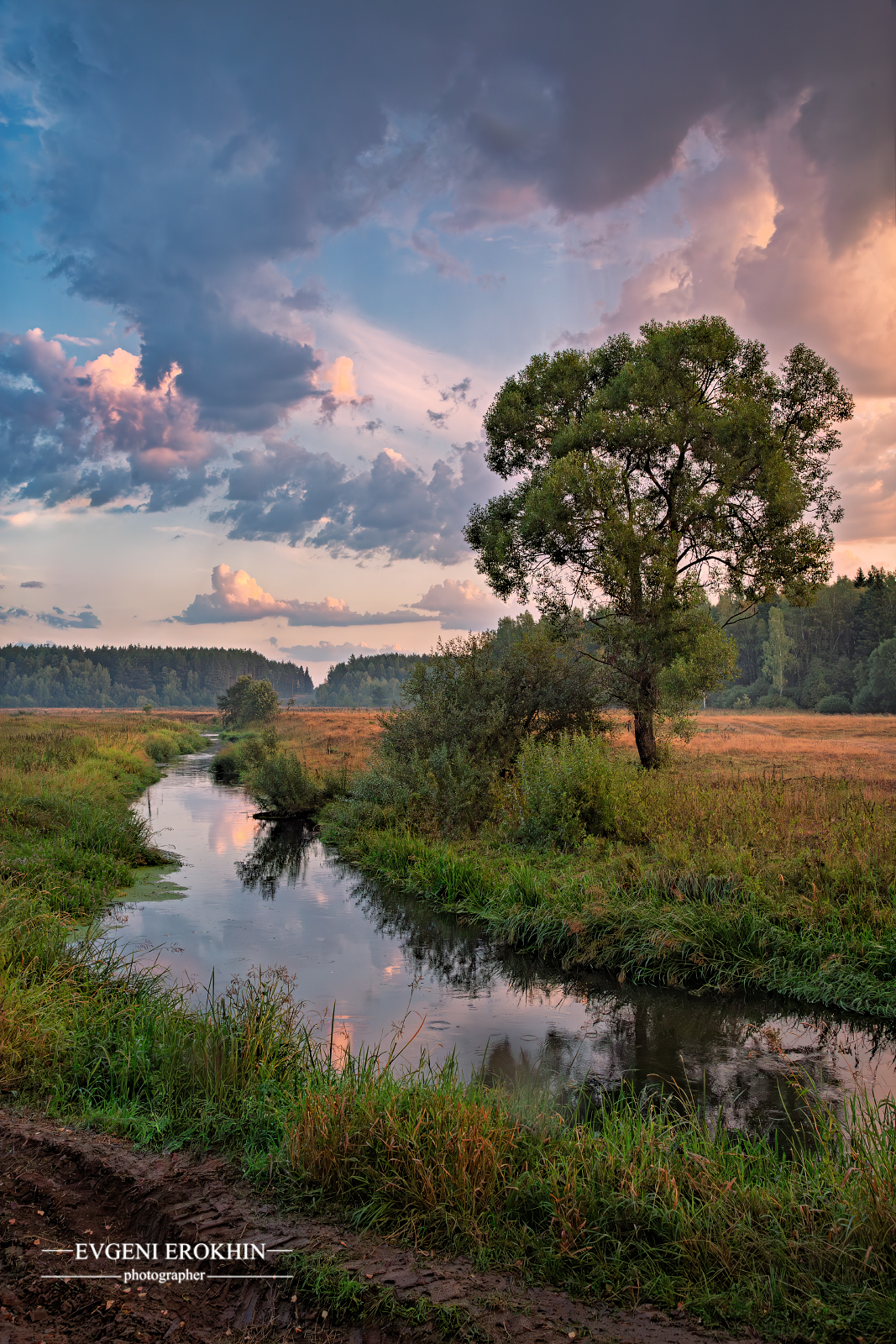 , Евгений Ерохин
