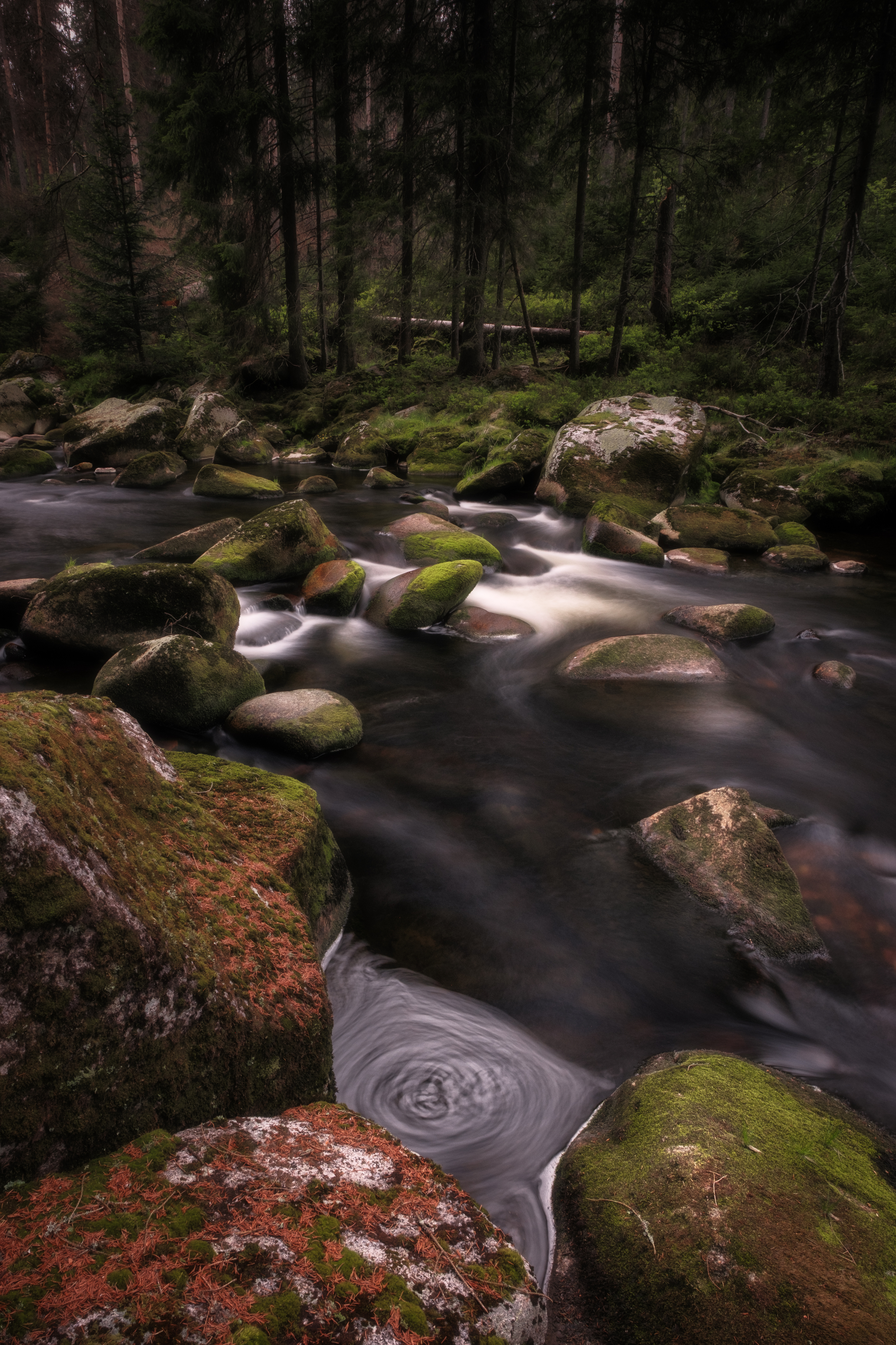 , Георгий Бычковский