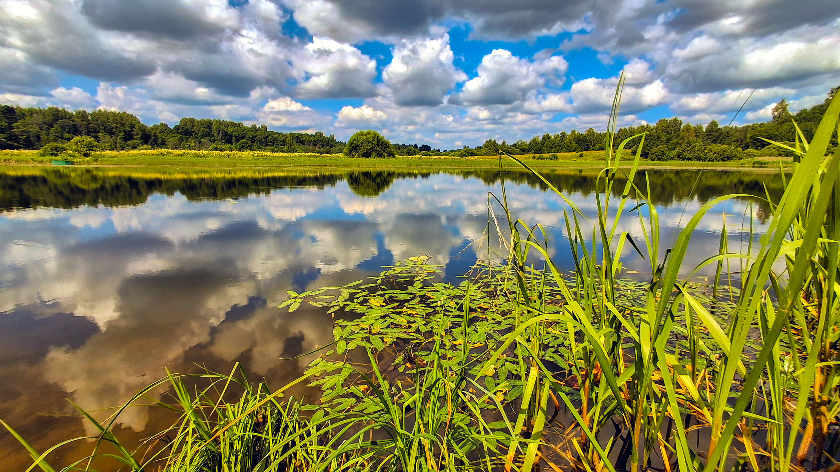 , Фотов Ренат