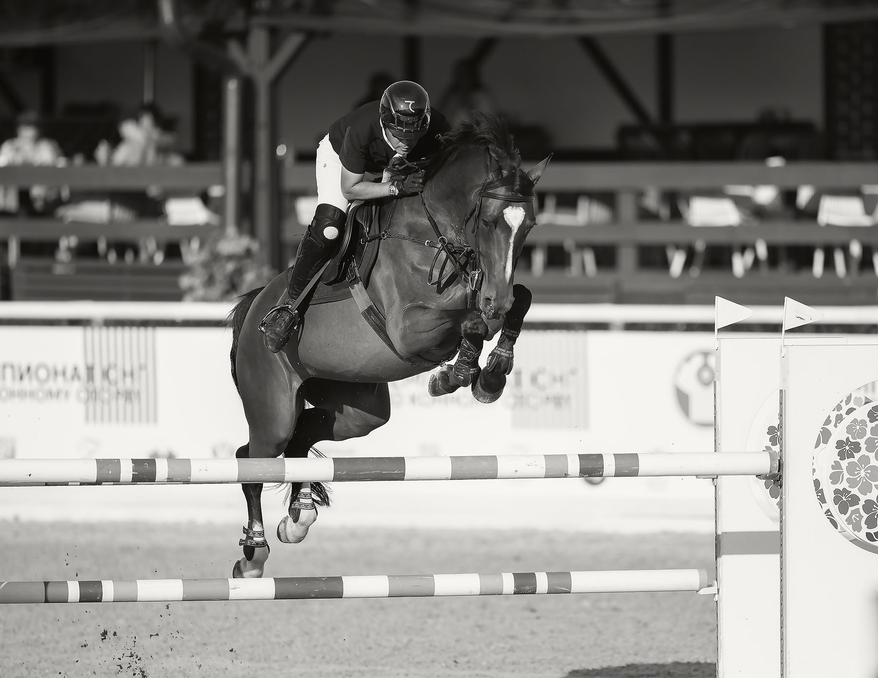 соревнования,конкур,спорт, competition,horse,jump, sport, Стукалова Юлия