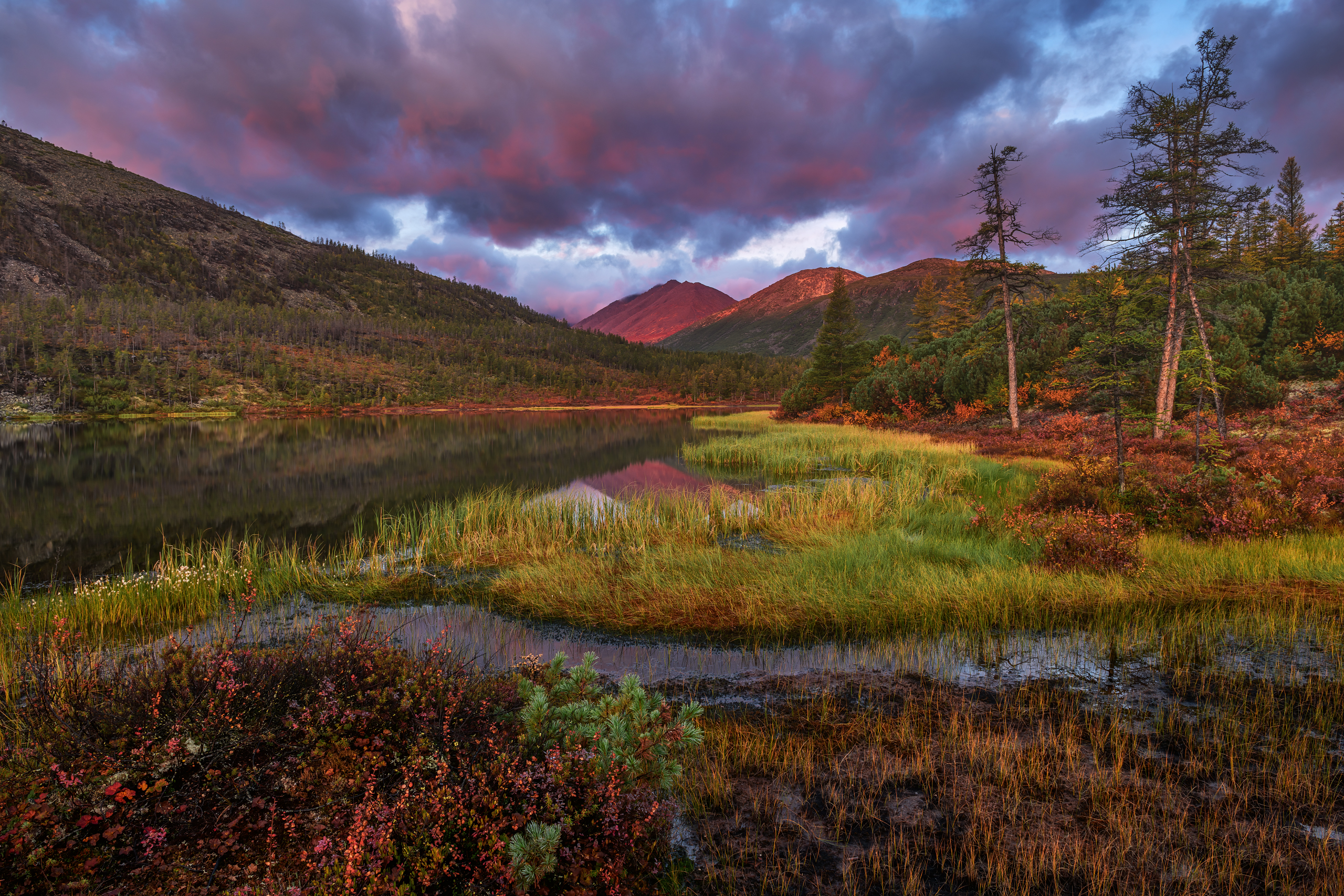 озеро джека лондона, Евдокимов Максим
