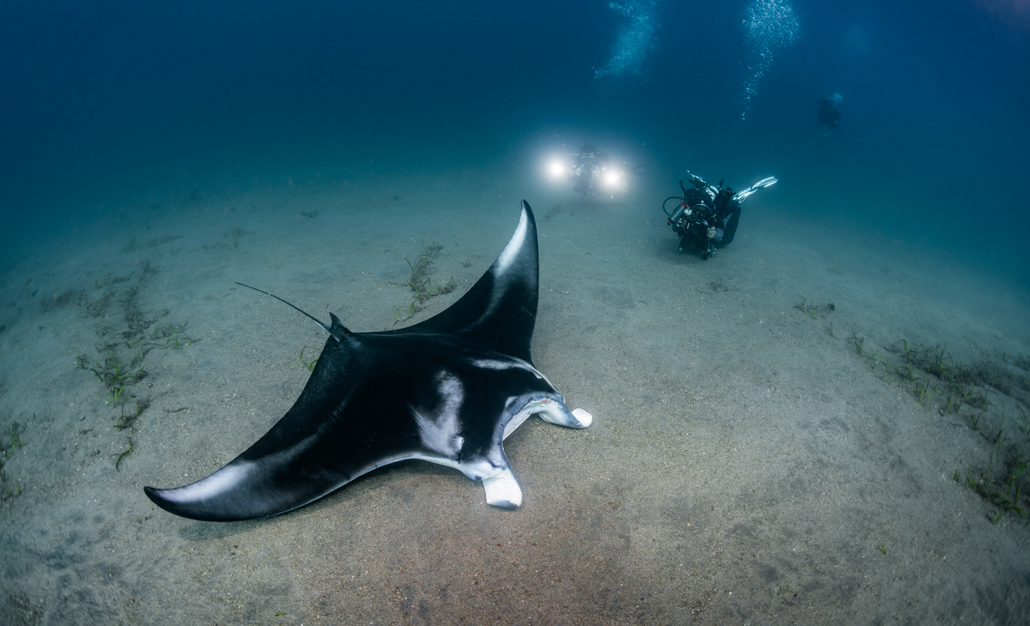 , Савин Андрей