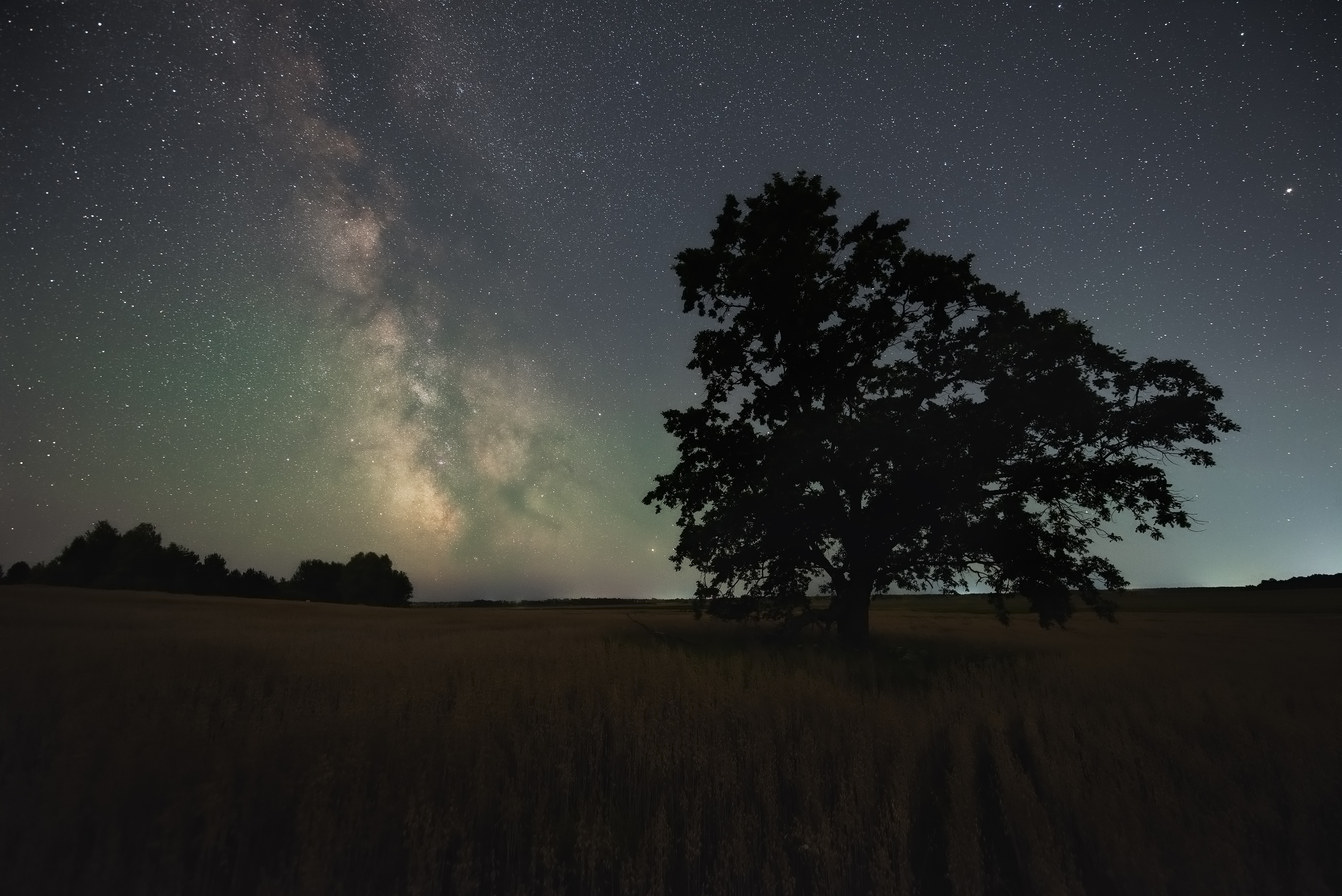 , Захаров Дмитрий