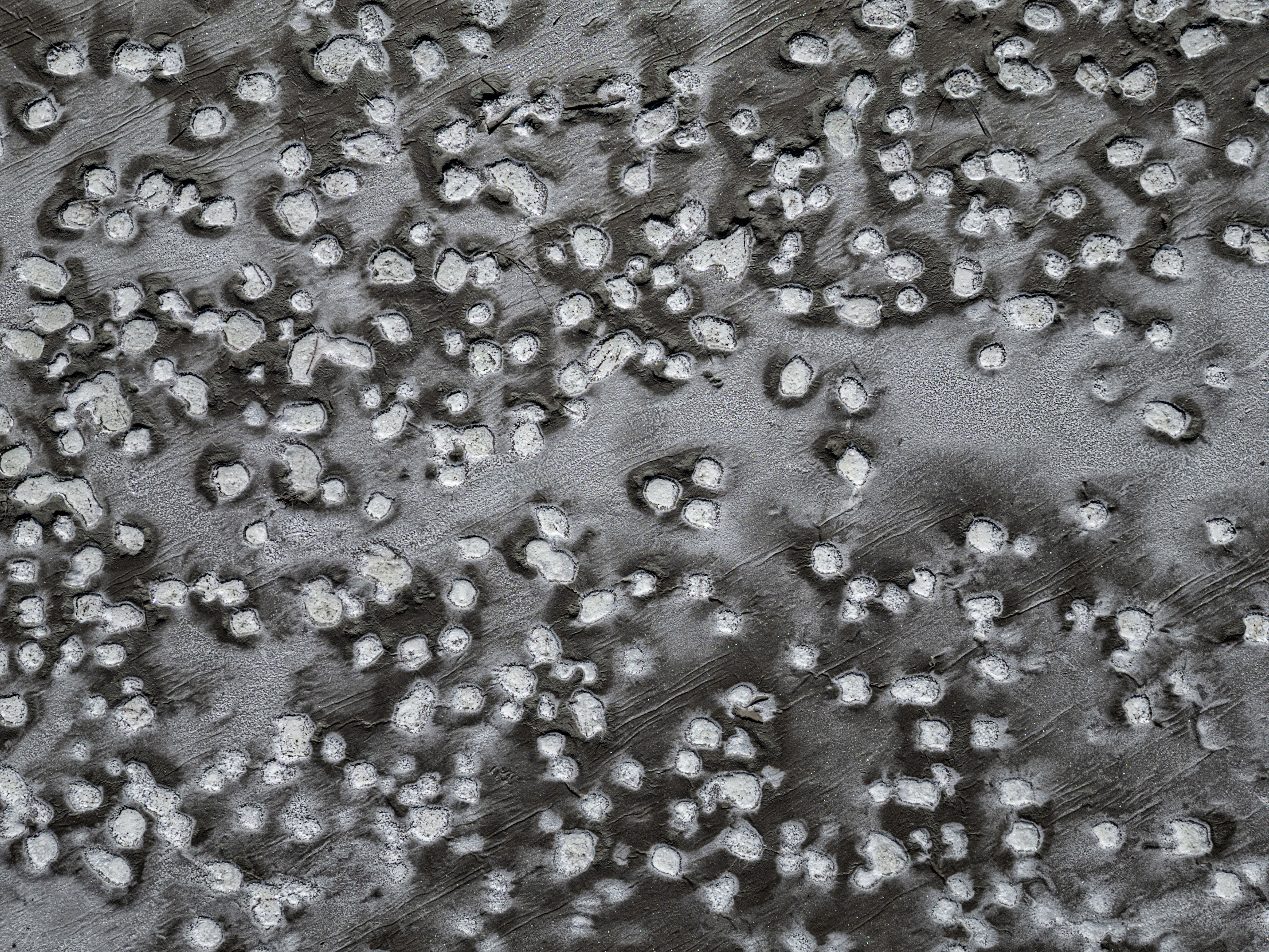 , Михаил Харитонычев