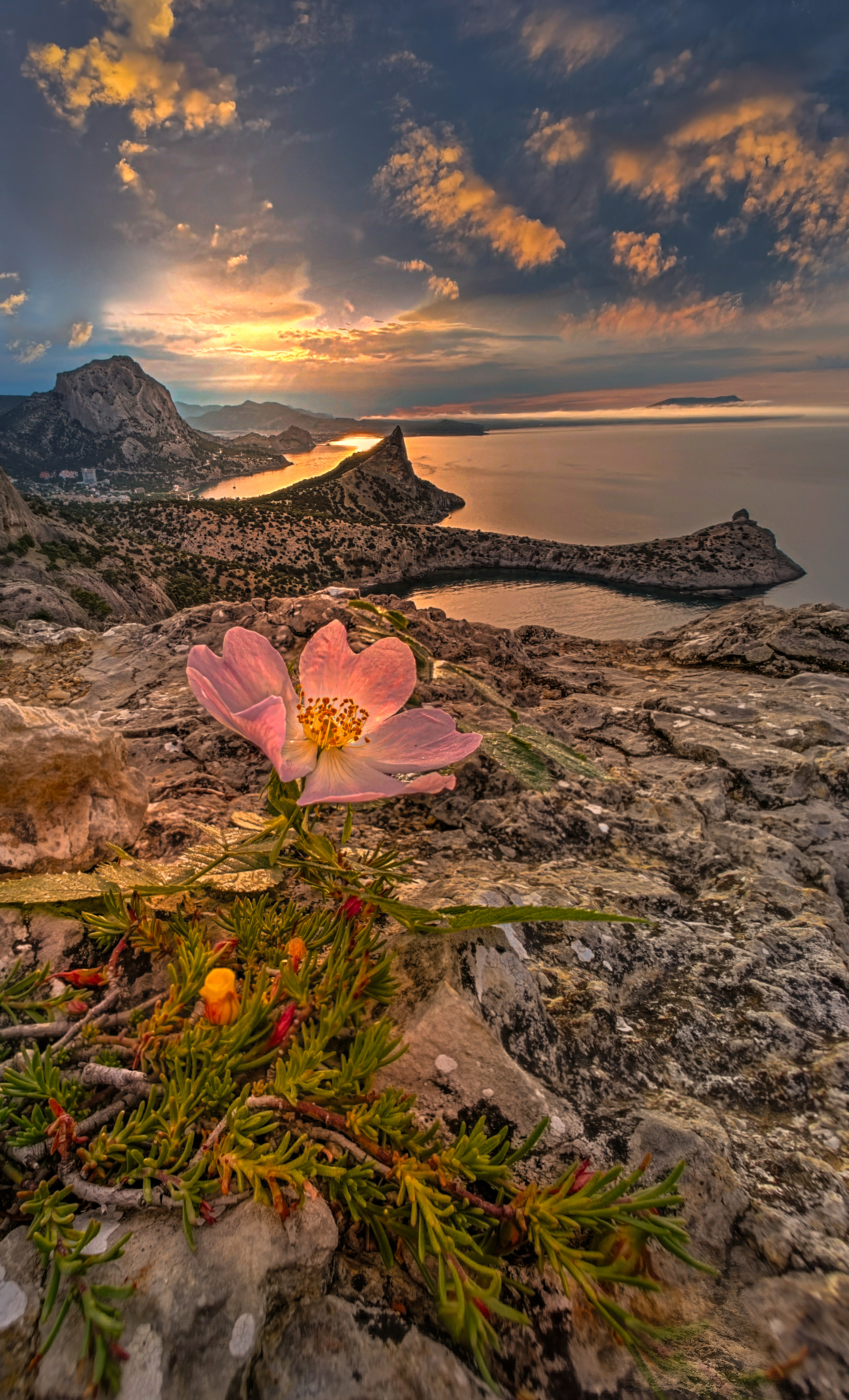 , Александр Разумов