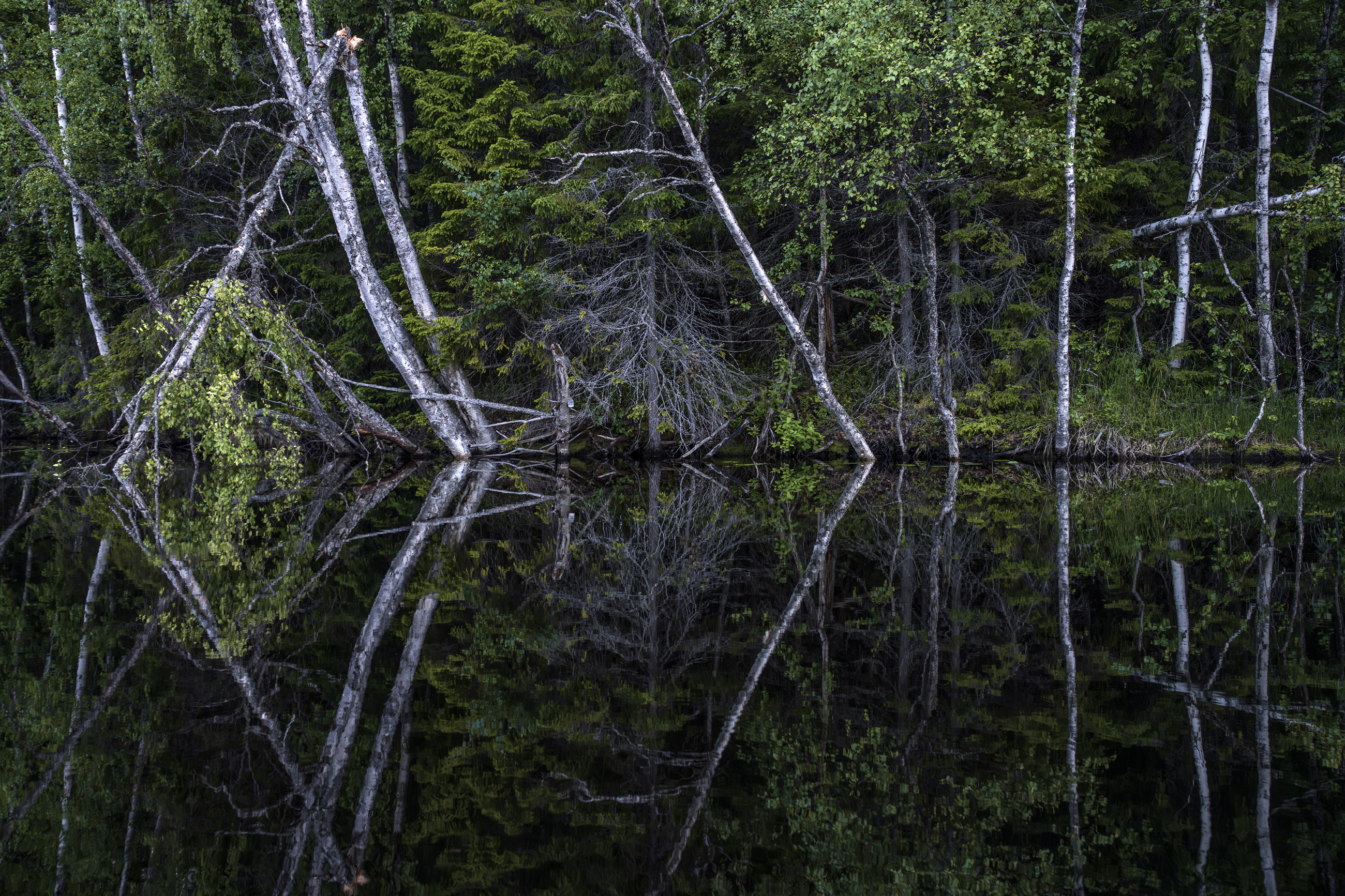 соловки, соловецкие острова, канал, Олег Зверев