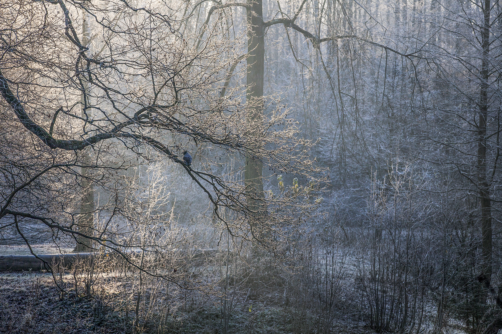 ,  александр михайлов