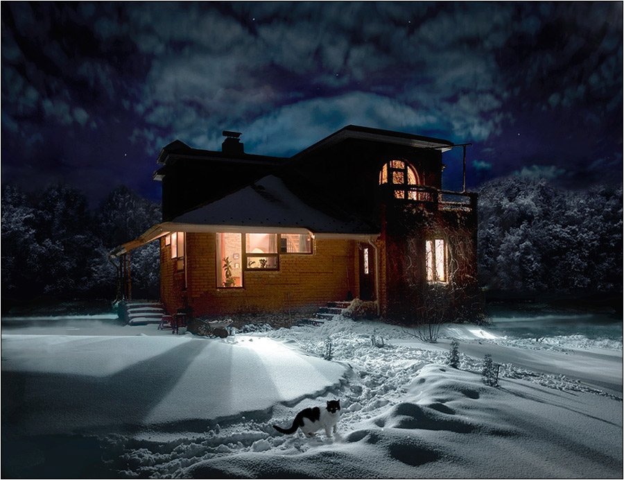 ночь, зима, коттедж, дом, снег, тени, Boris Bort