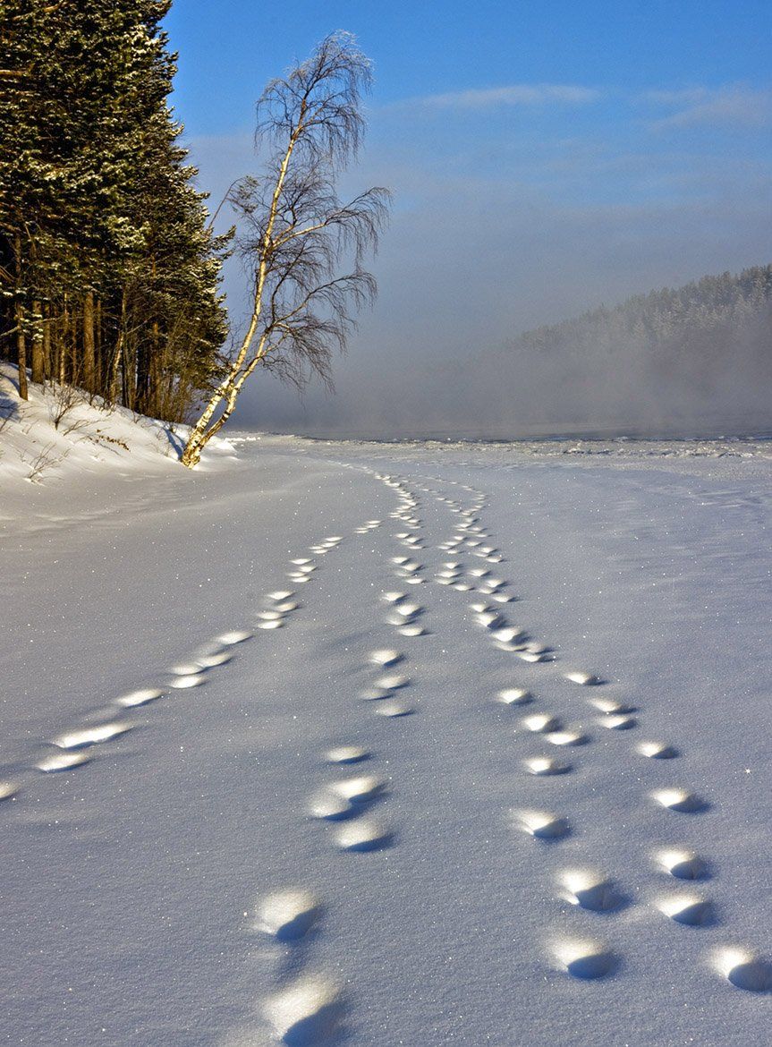 зима,пейзаж,север,река, Алексей Сафаров