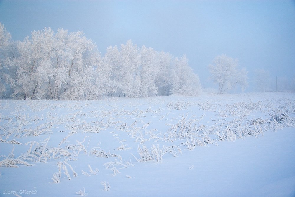 снег, енисей, сибирь, красноярск, Андрей Крепких (Sound Wave)
