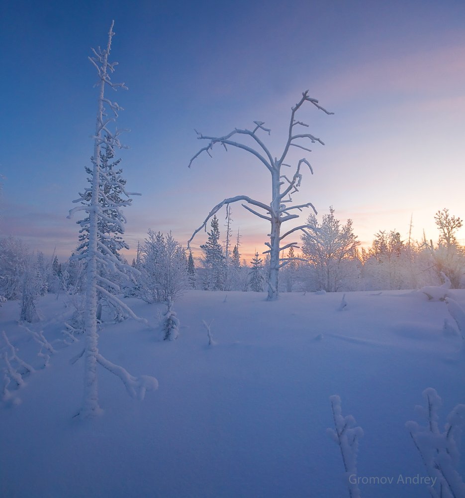 лапландский биосферный заповедник, лыжи, Андрей Chogori Громов