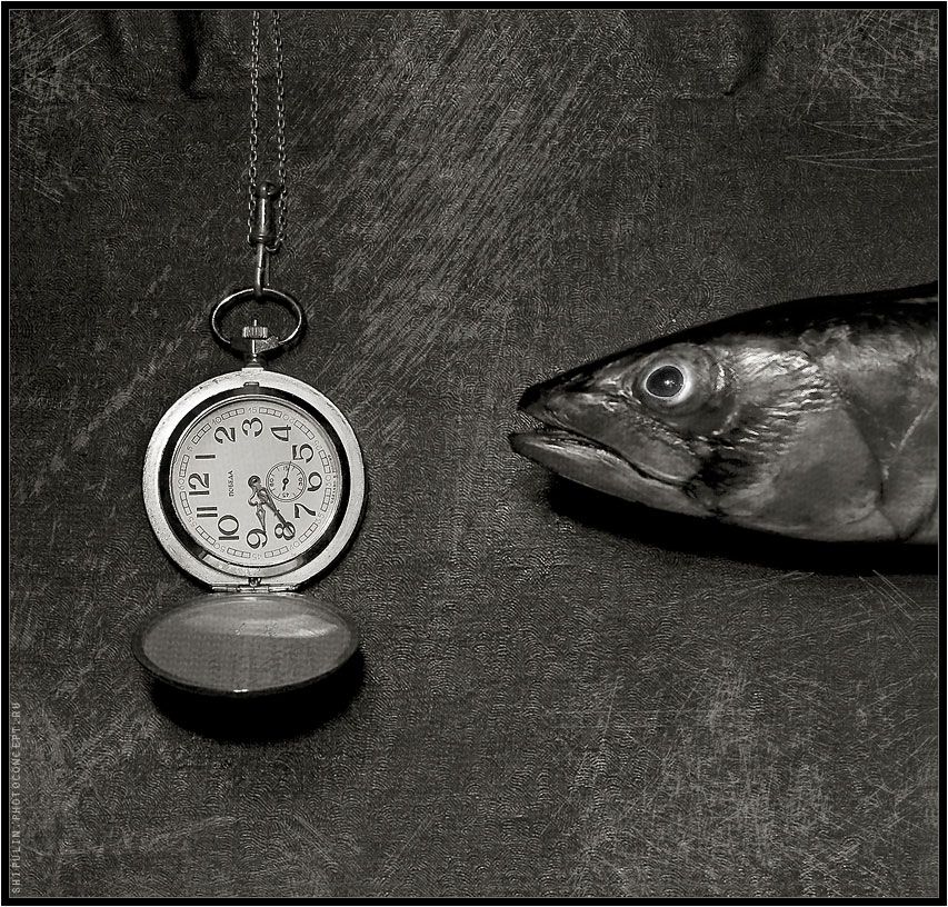 рыба,часы,рыбы,натюрморт,сюр,сюрреализм,владимир,шипулин, Vladim_Shipulin