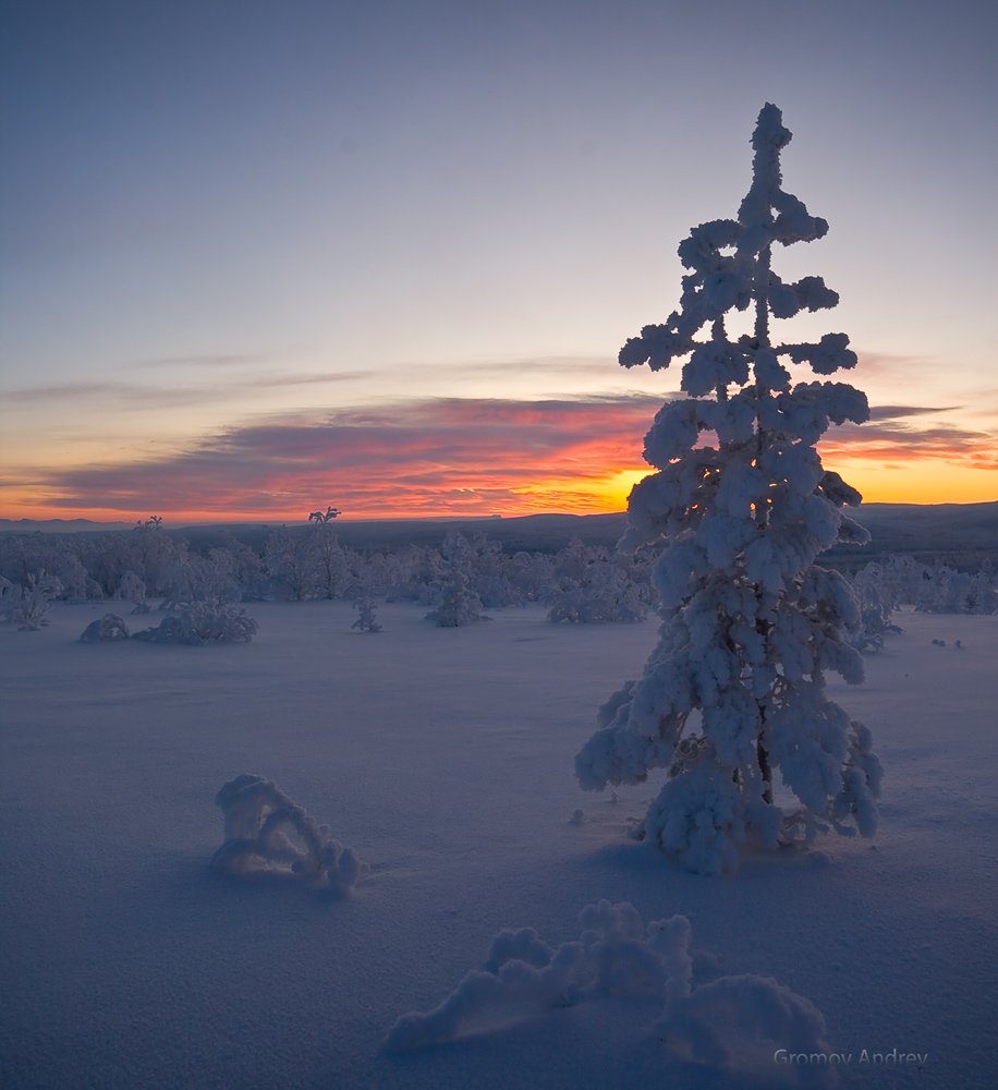 лапландский биосферный заповедник, лыжи, хребет медвежья тундра, Андрей Chogori Громов