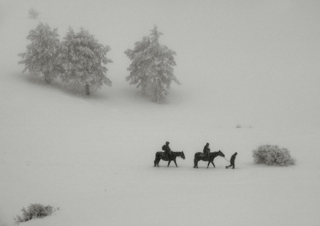 снег , метель , горы, лошадь, Алексей