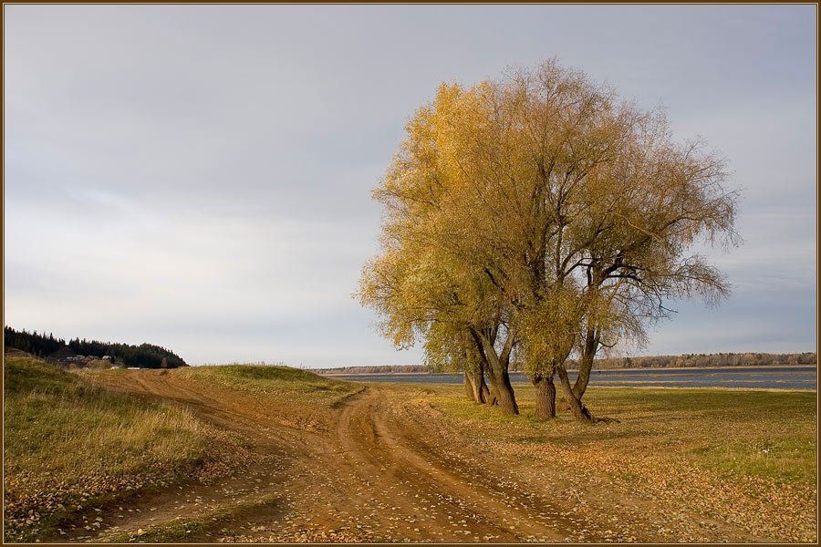 , Александр Киселев