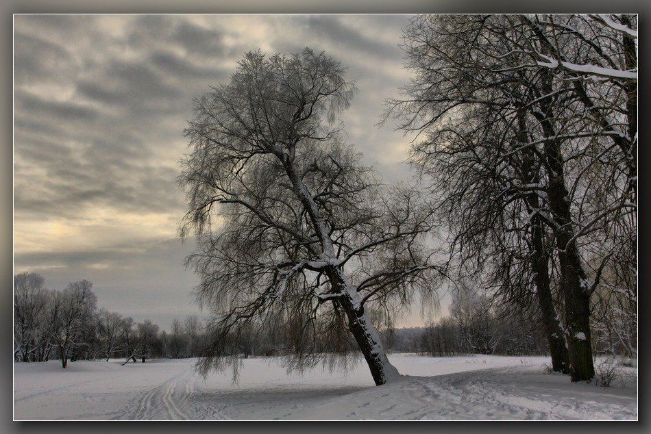 петергоф,чистые пруды,зима,озеро, Andrey D