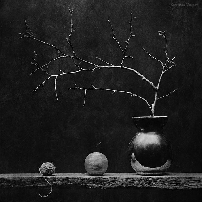 клубок, ваза, ветвь, ритм, отражение, Konstantin Voronov