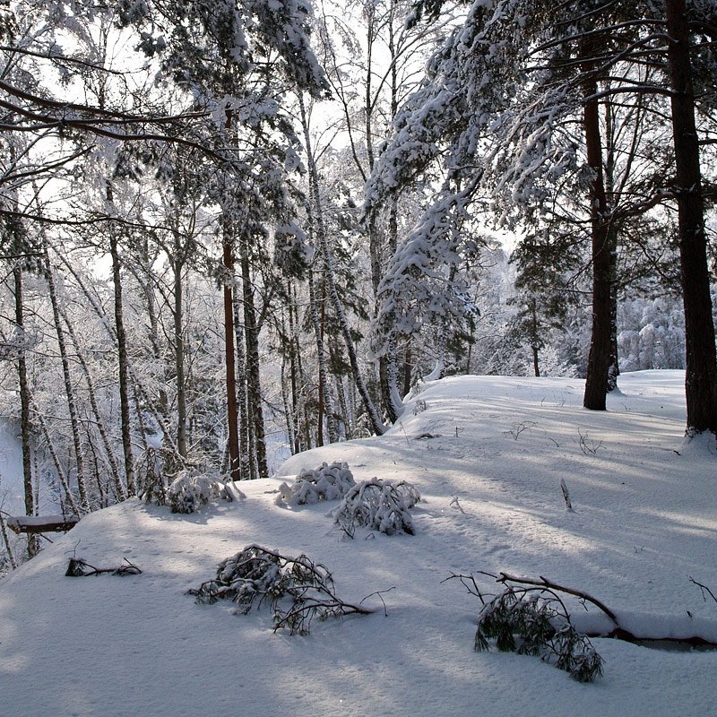 , Александр Ящук