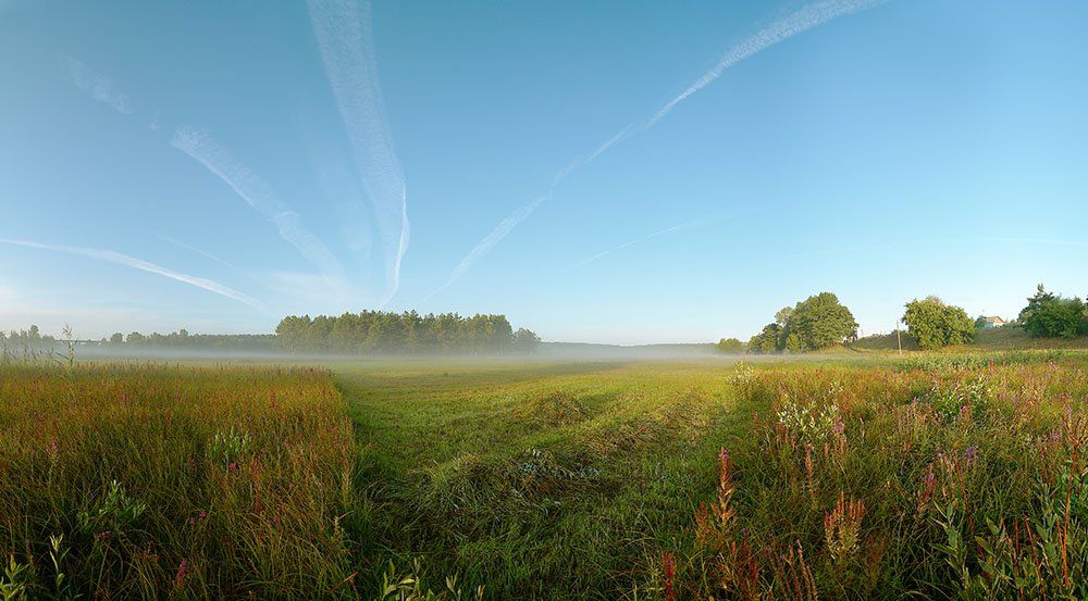 лето,утро,туман,природа,панорама из 8 верт. кадров, sar56