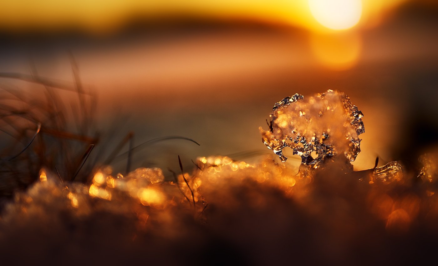 закат золото свет солнце, Анастасия Крылова