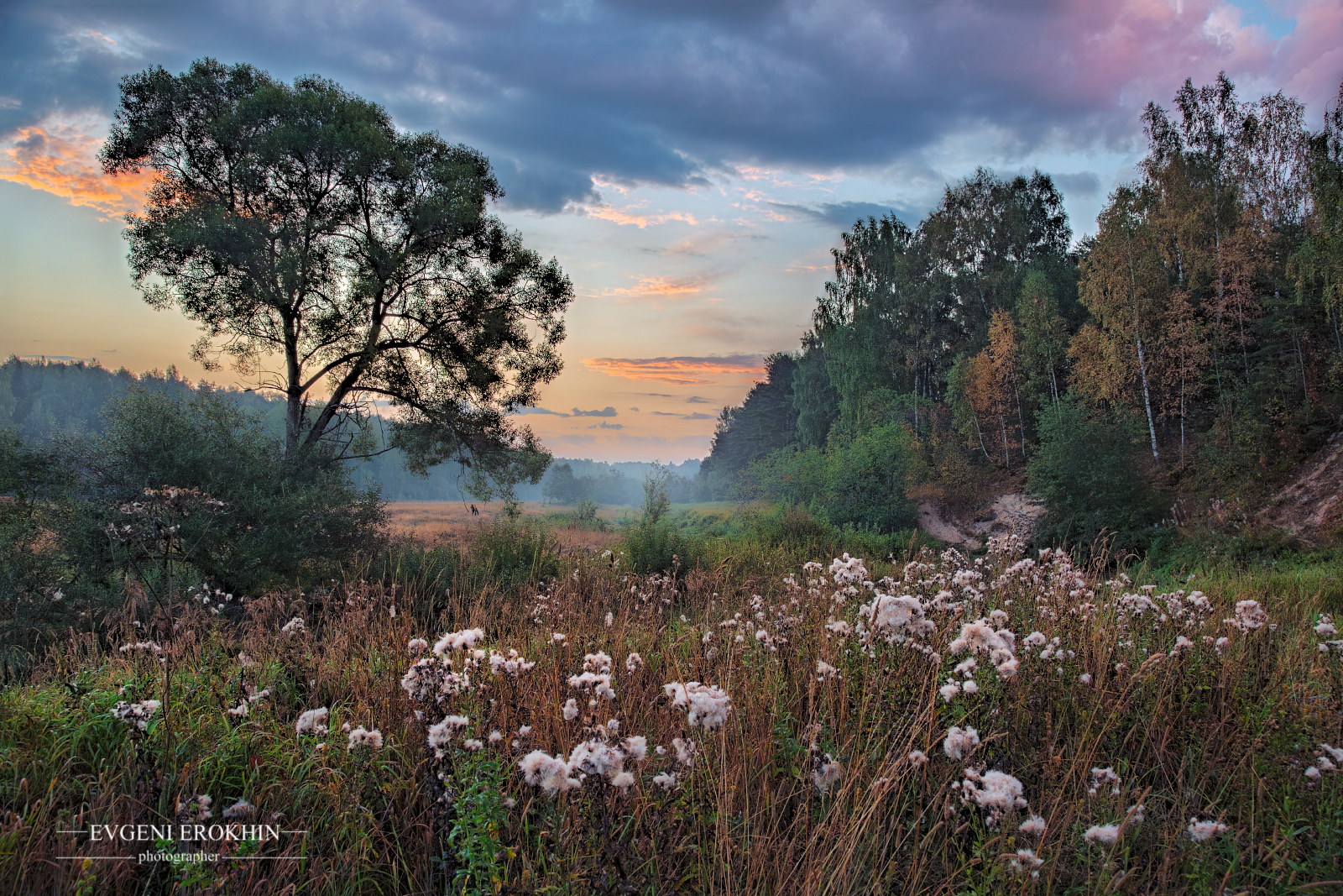 , Евгений Ерохин