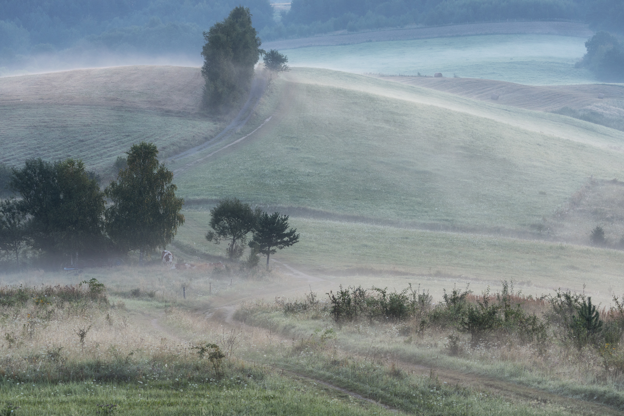 ,  Mirosław Pruchnicki