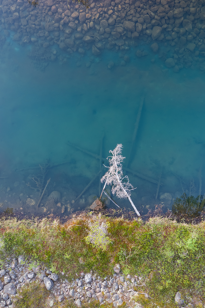 озовая гряда, тайга, ладожские шхеры, карелия, ладога, северное приладожье, сортавала, питкяранта, русский север, северная природа, северный пейзаж, пейзажи карелии, природа карелии, фототуры по карелии, фототуры по ладоге, фототур на ладожские шхеры, Уютнов Кирилл