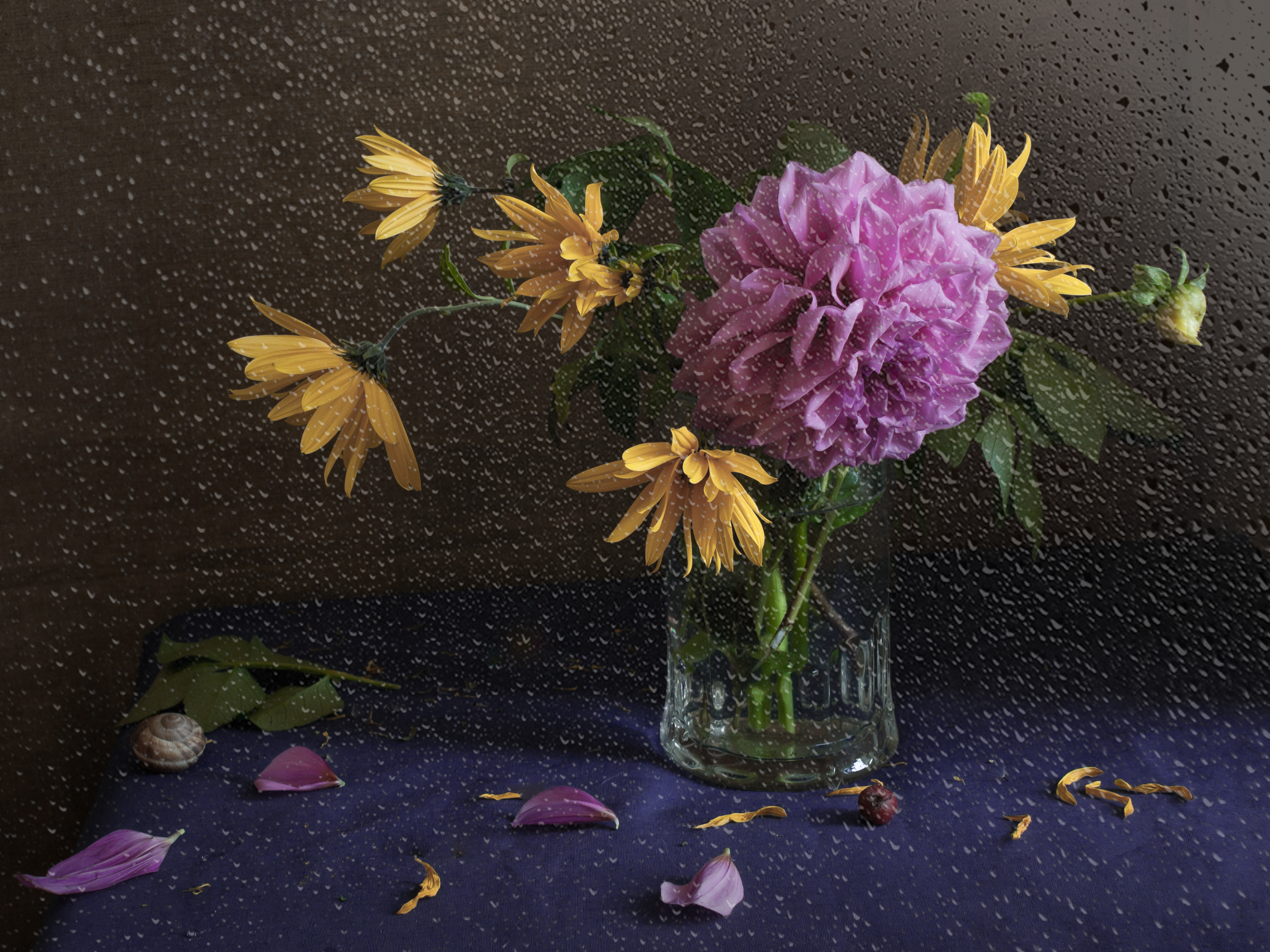 лето, георгин, дождь, Елена Колеснева