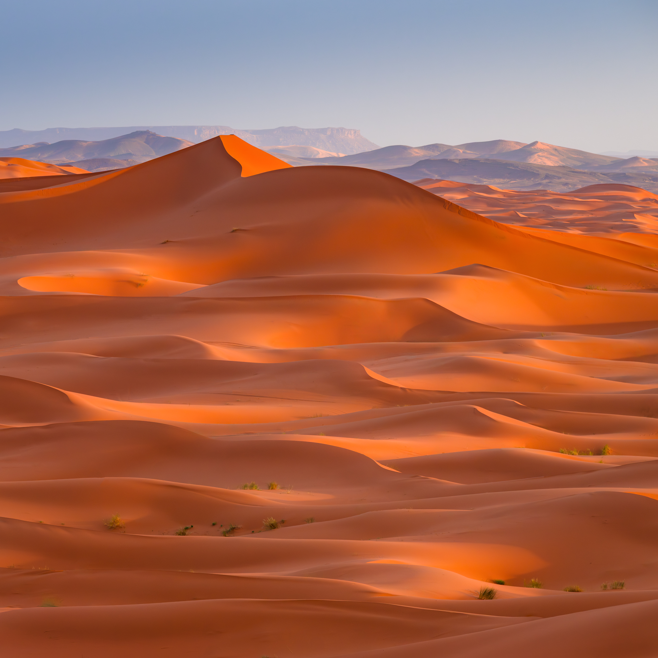 maroc, marocco, sahara desert, desert, sand, orange, light, марокко, пустыня, сахара, пейзаж, дюны, песок , Kaznov Stanislav