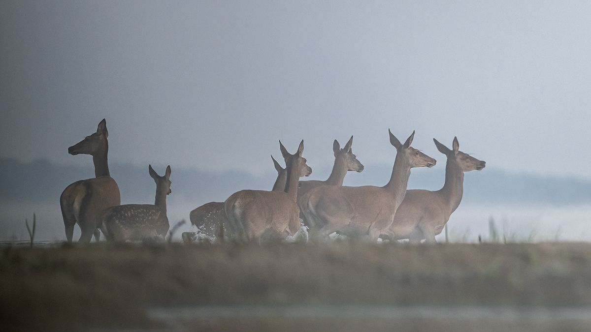 , Sławek Przybylski