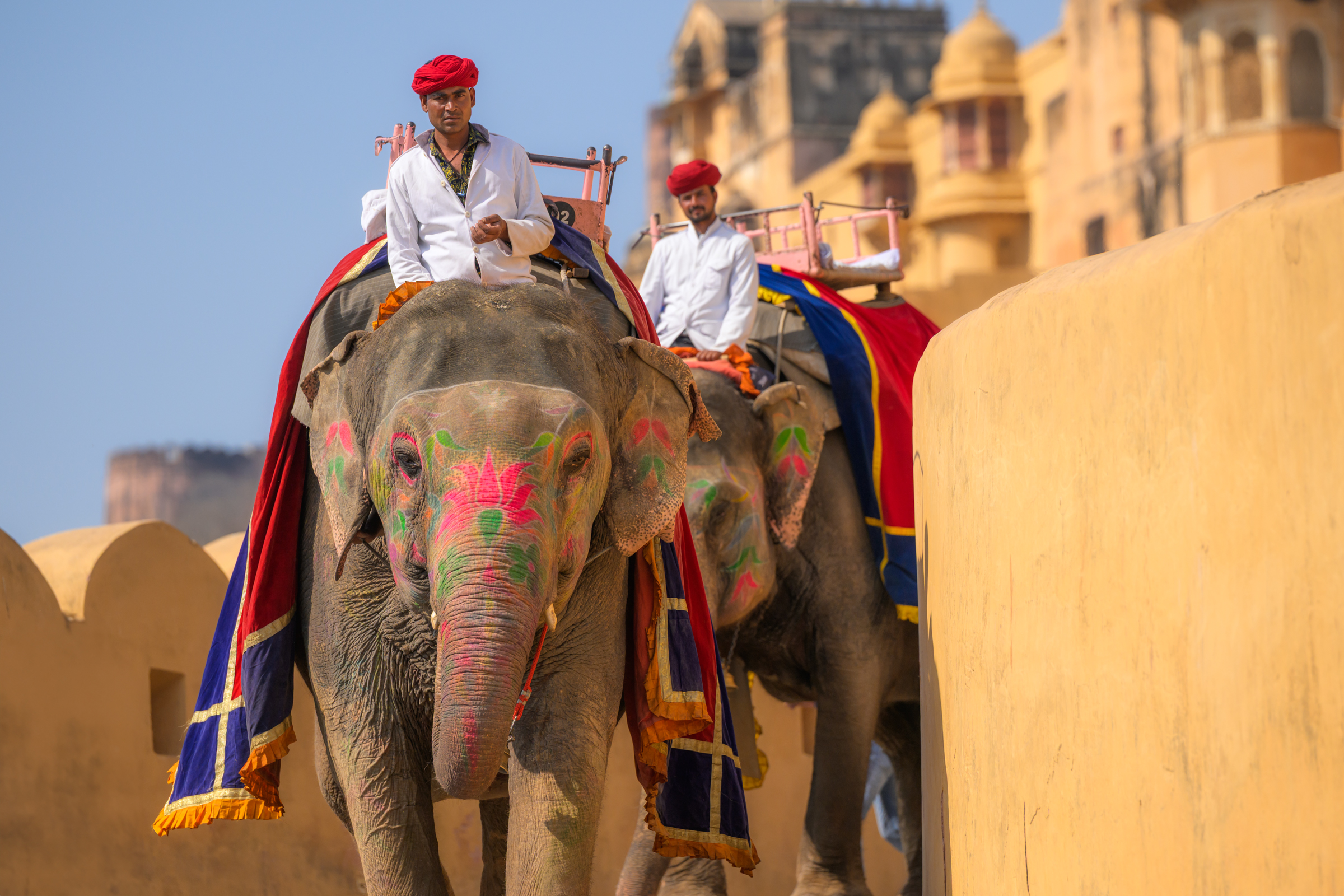 индия, стрит, india, слоны, Kaznov Stanislav