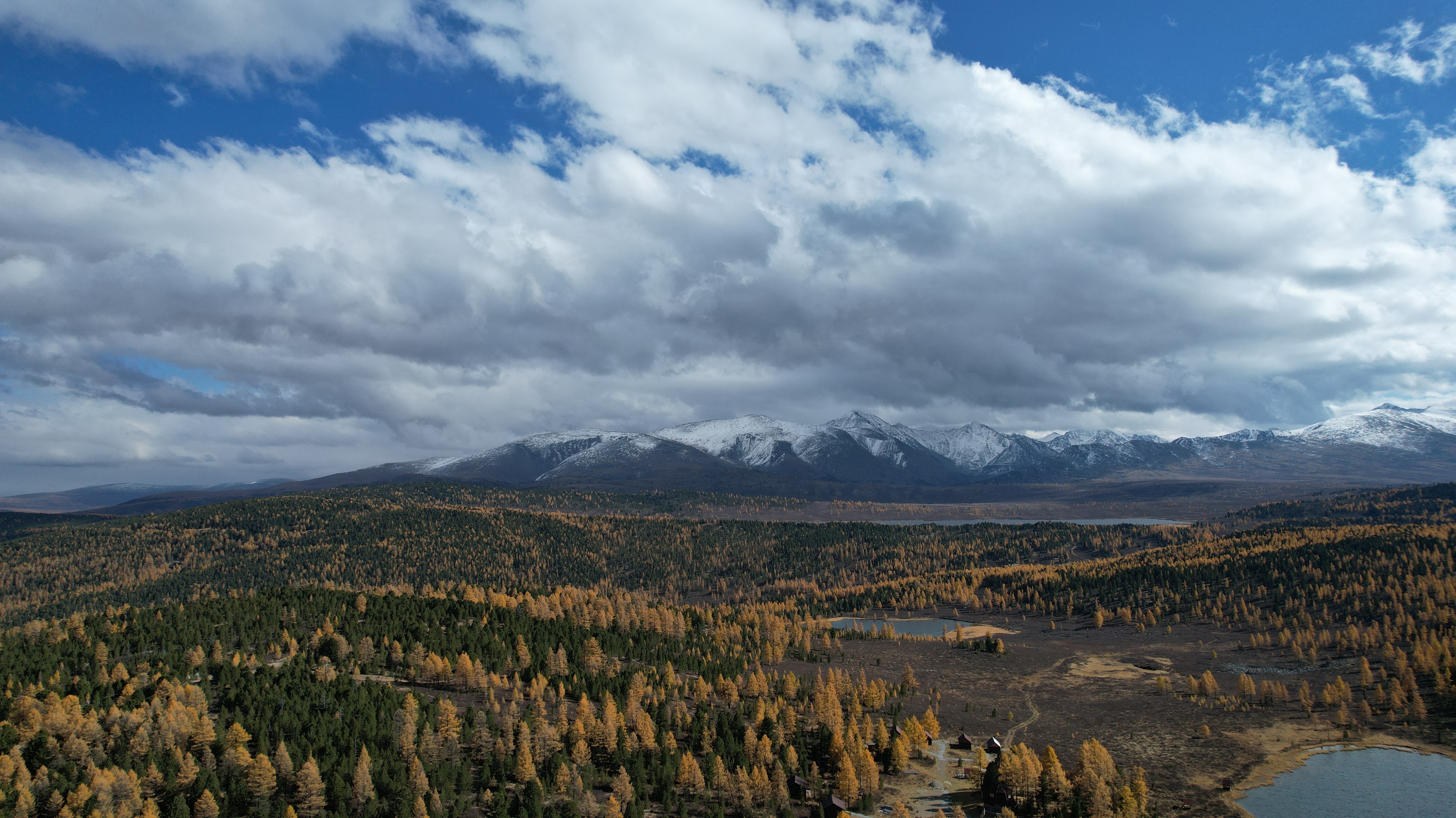 , Константин Буркин