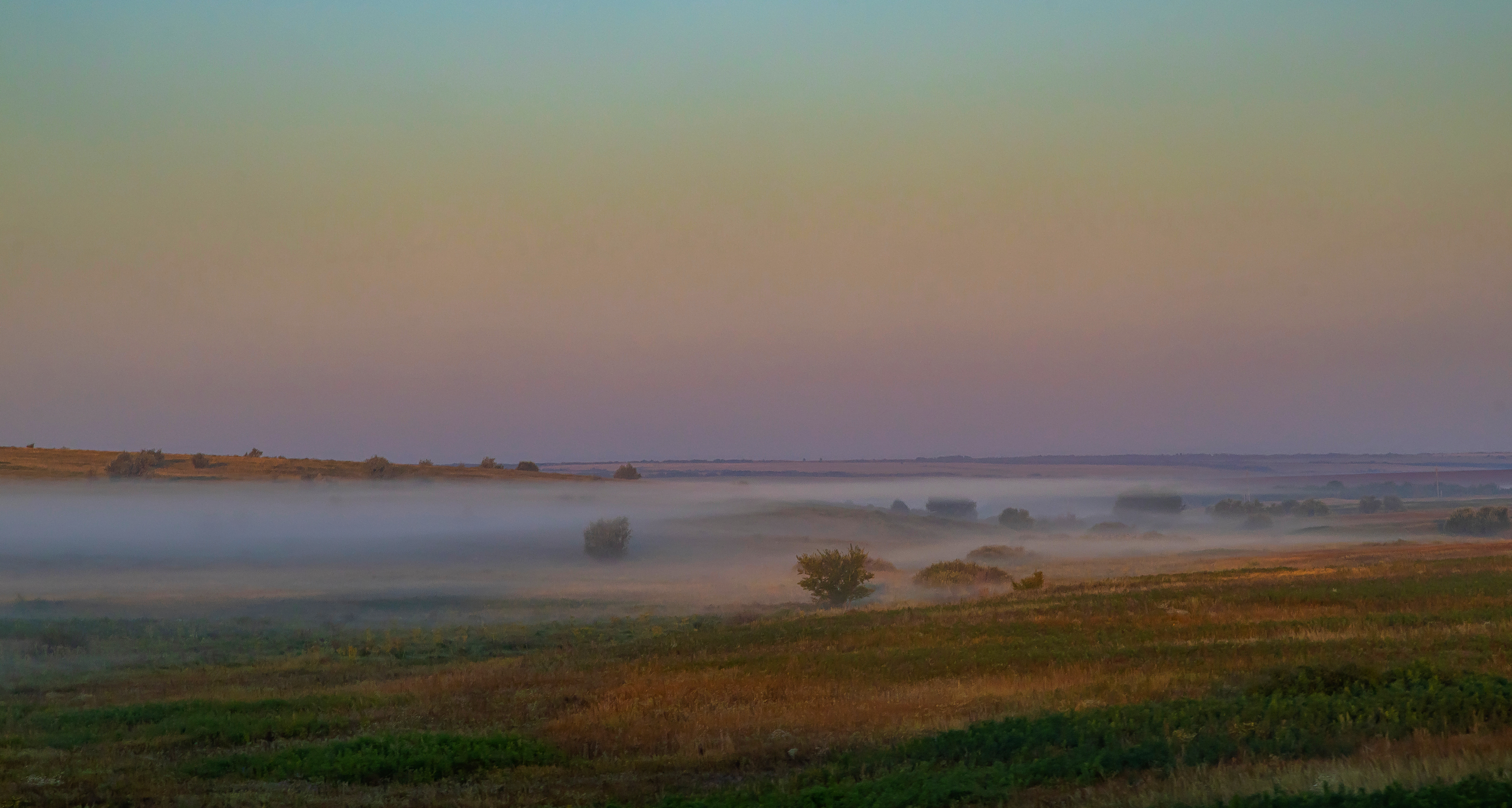 , Подосинников Максим