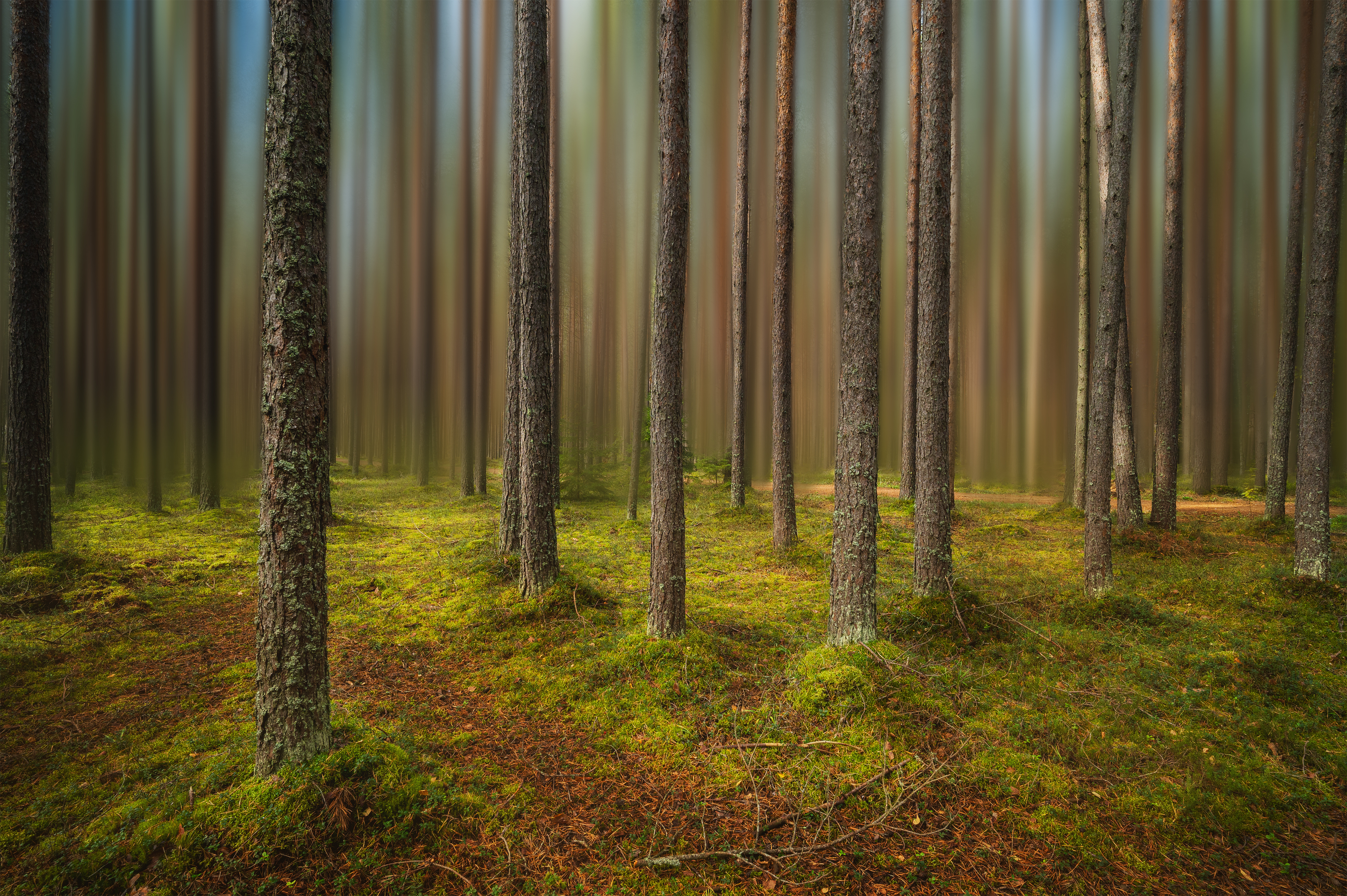 #санкт-петербург, Brouer Alexey