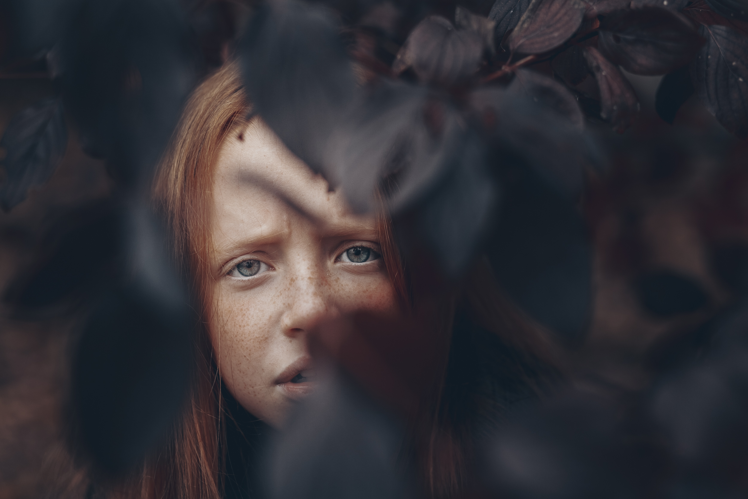 35mm, 4x5, 6x6, 6х6, 85mm, Art, Artnude, Ballerina, Ballet, Battur, Beautiful, Beauty, Canon, Canon 5D Mark III, Car, Color, Dance, Dress, Emotion, Eyes, Face, Flowers, Ganzo, Genre, GirlHair, Hero,LightLilac, Model, Mongol, Mongolia, Вероника Гергерт