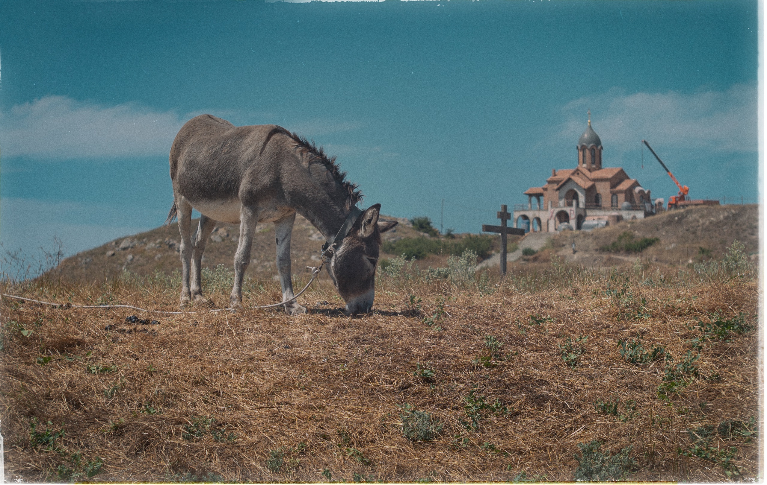 пейзаж, природа, деревня, село, вид, церковь, храм, ишак, животные, архитектура, лето, крымское лето, атмосфера, красота, небо, пастбище, винтажная оптика, мануальное, юпитер-3, керчь, крым, россия, Щербак Анатолий