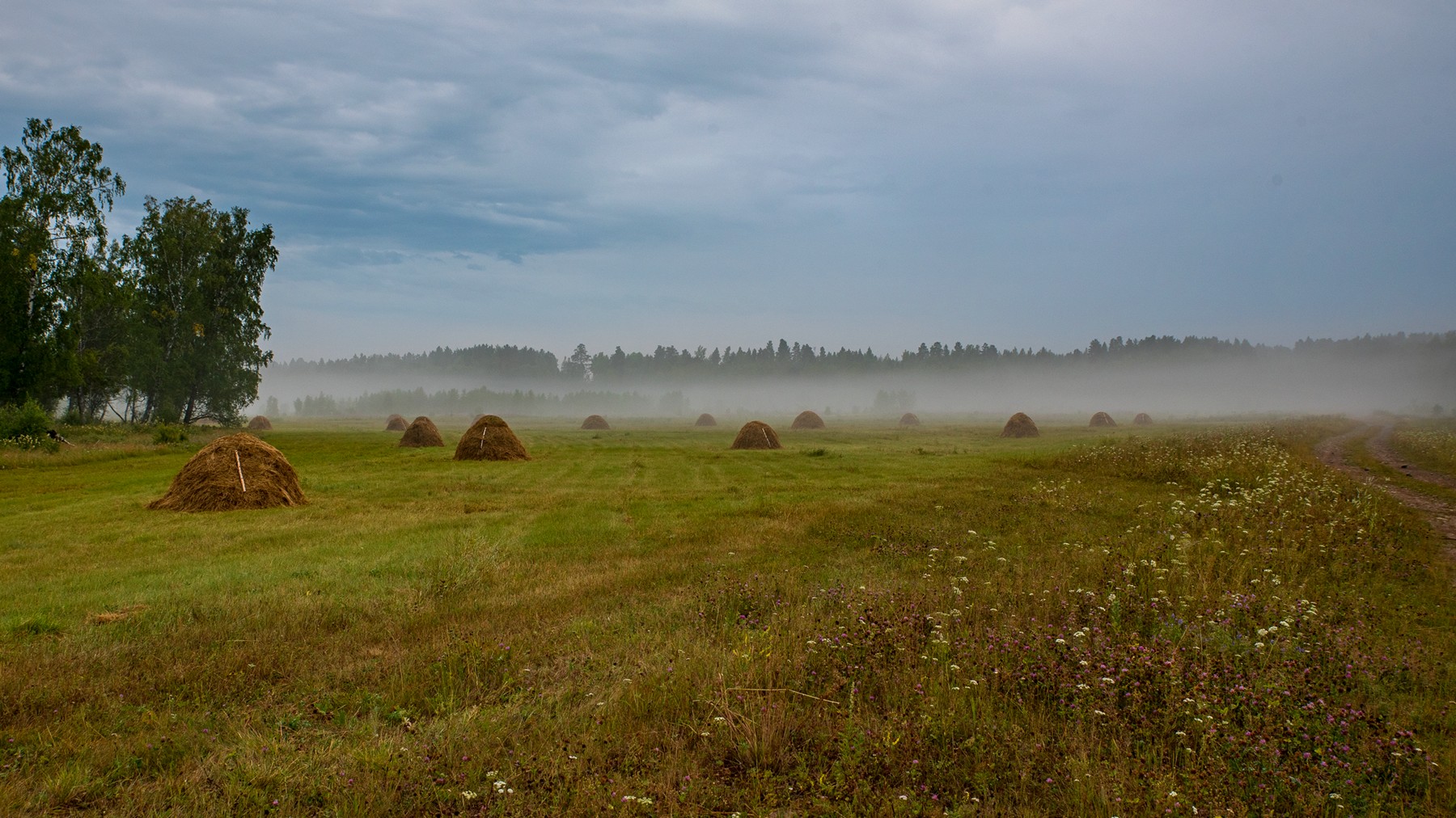 покос, утро, туман, стога, сено, луг, Юрий Мальцев