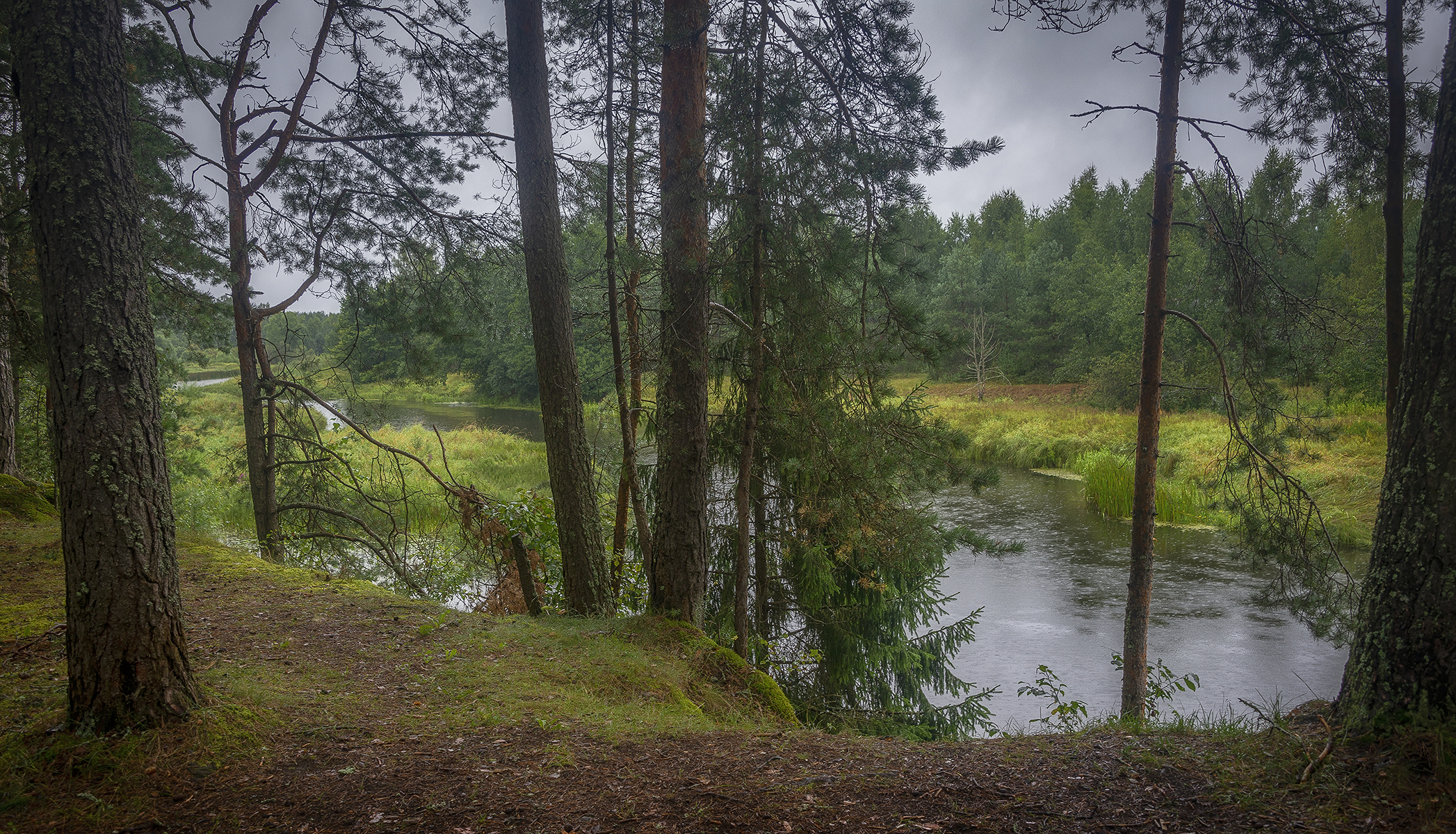 , Сергей Аникин