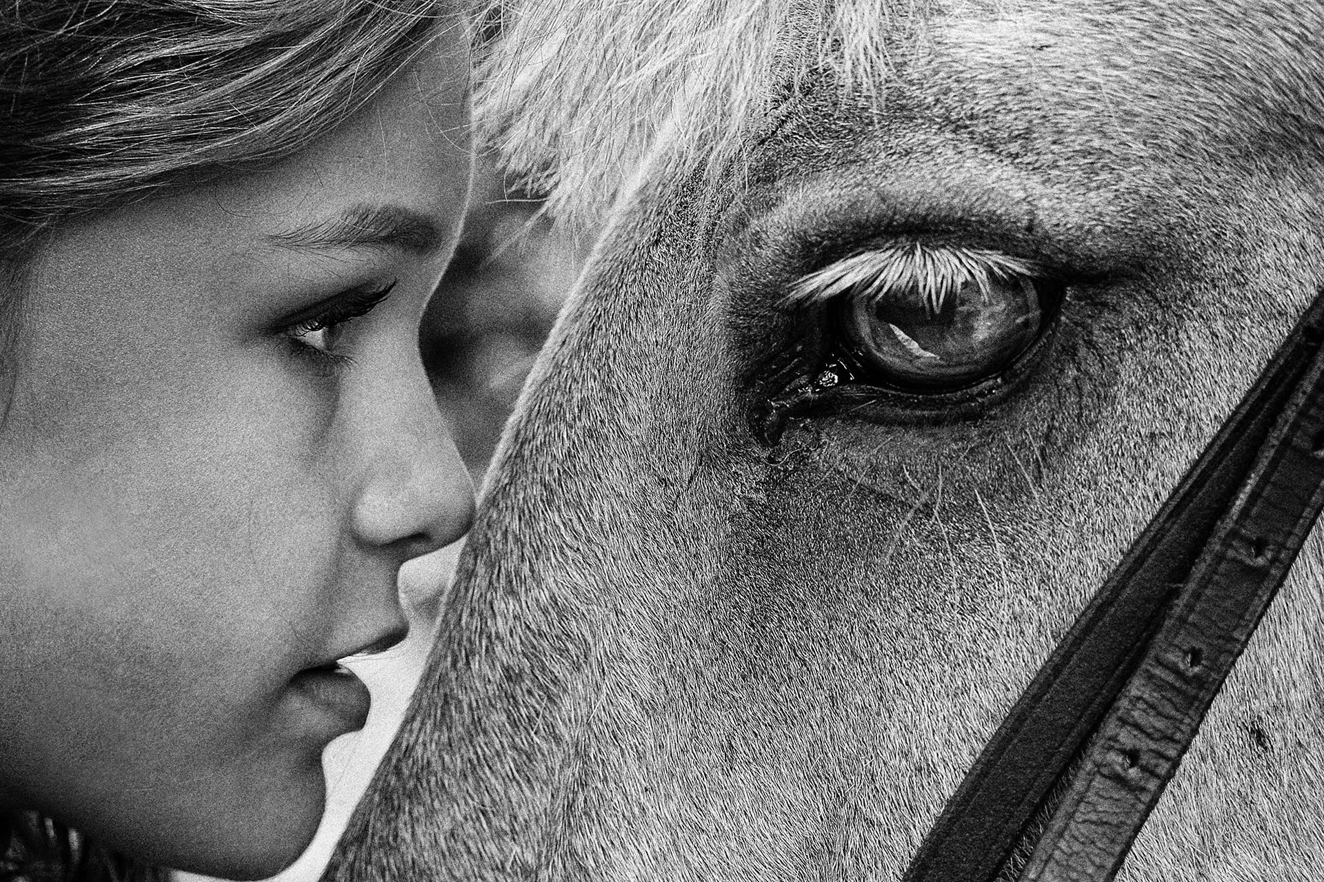 , Стеценко Александр