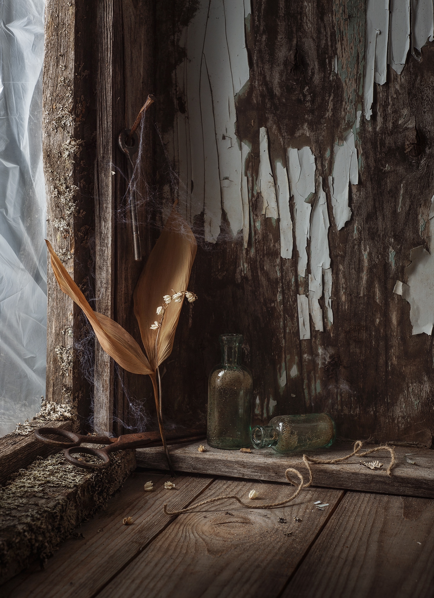 , Наталья Кабачек