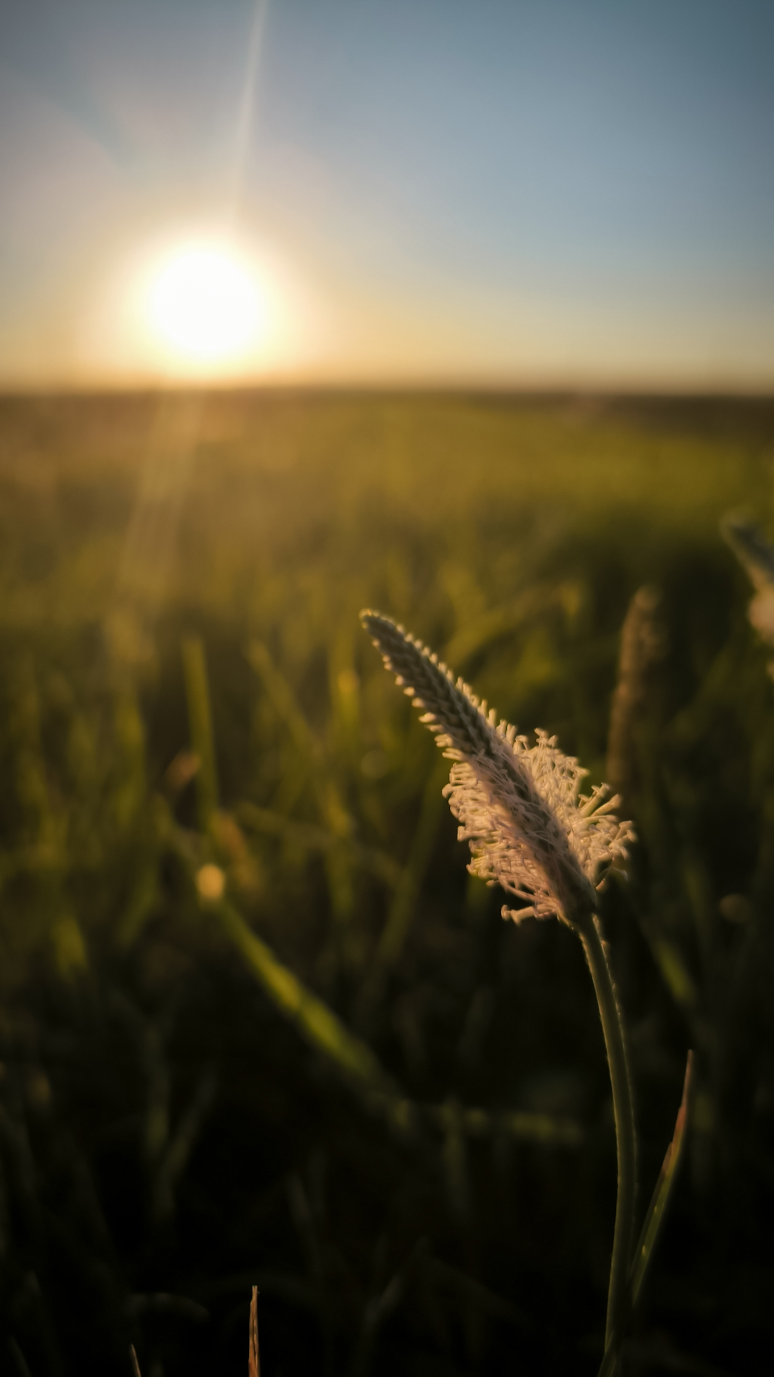закат пейзаж, Лариса Белякова