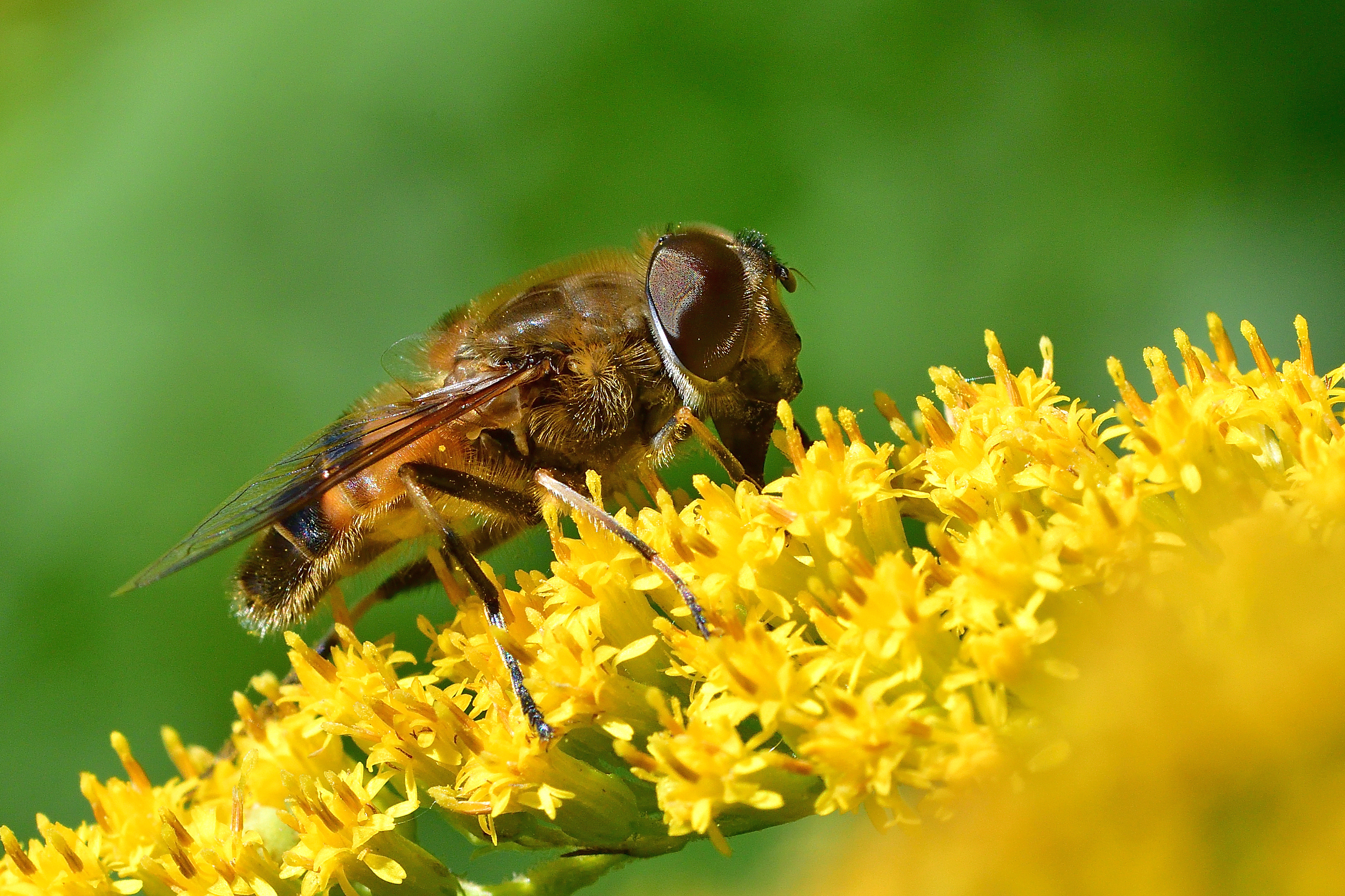 , Корнейчук Игорь