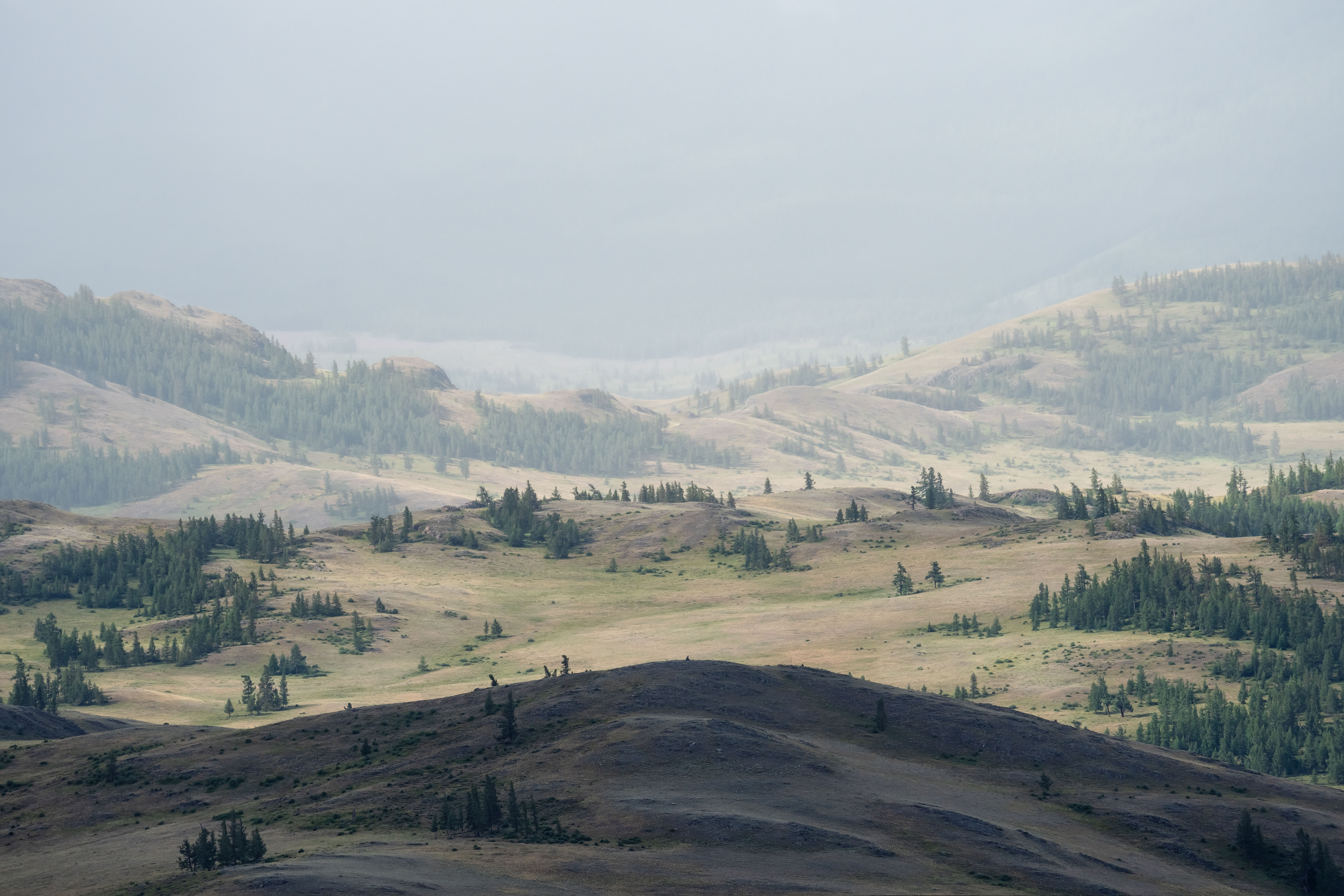 , Важенин Евгений