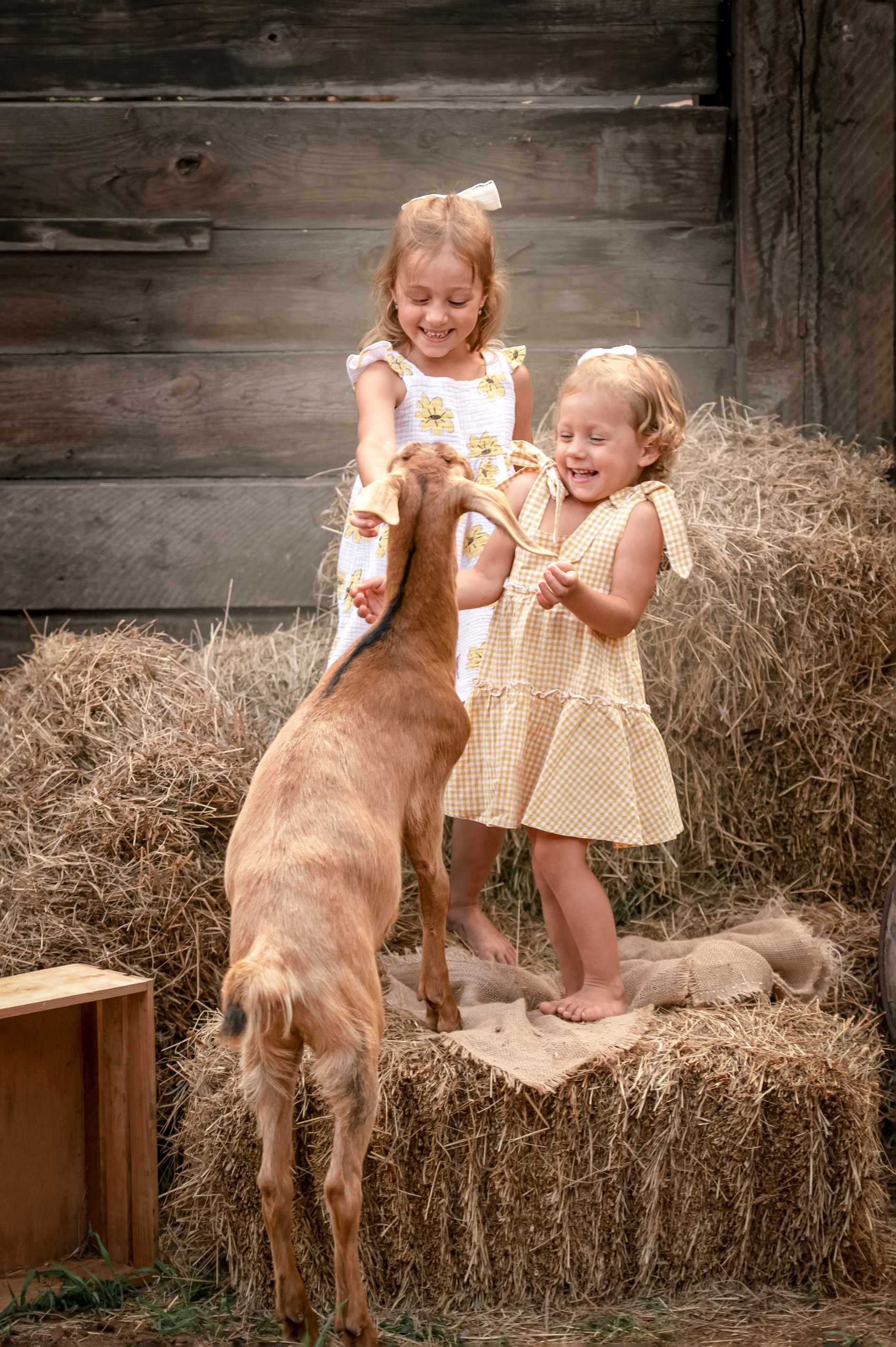 , Елена Савченкова