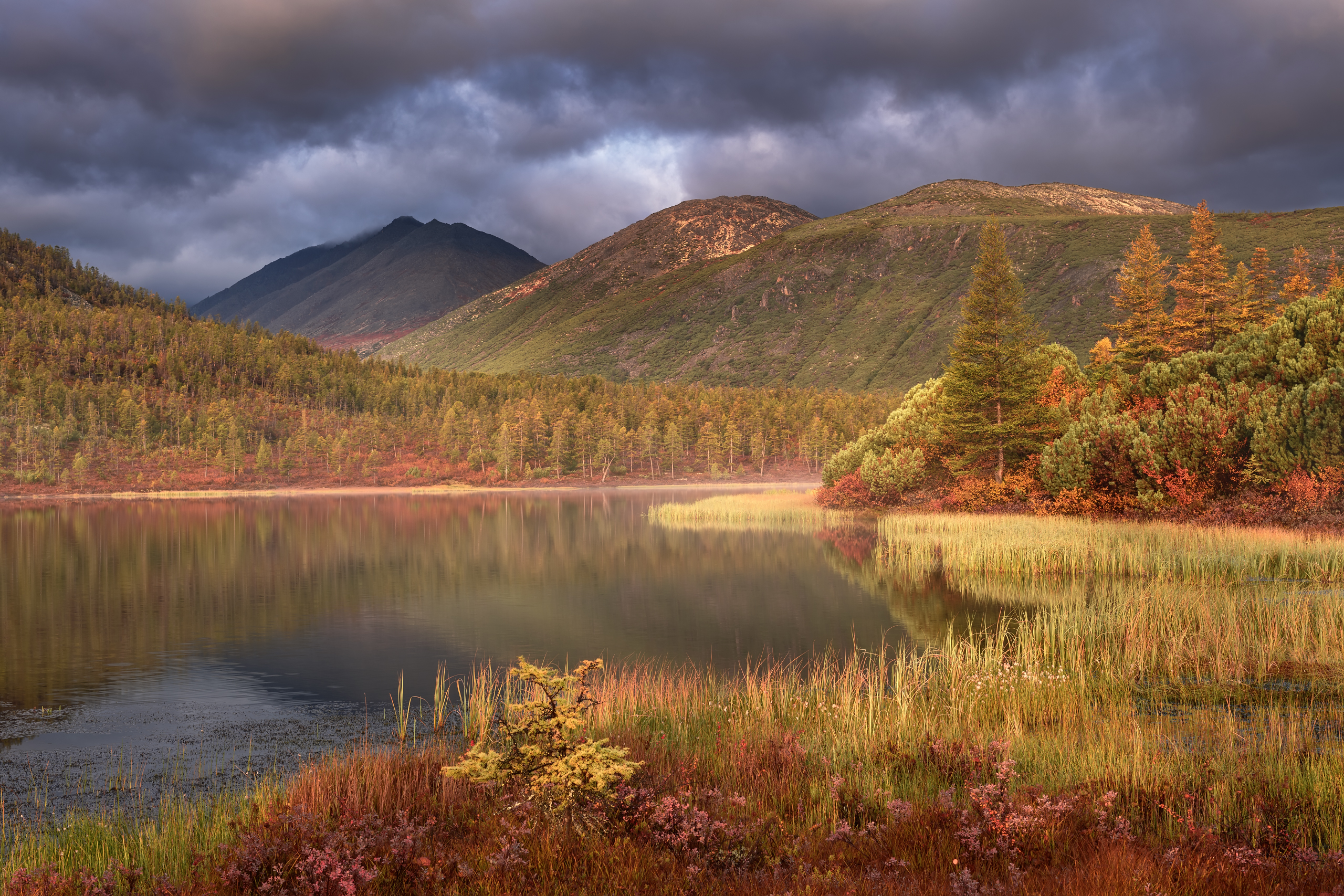 озеро джека лондона, Евдокимов Максим